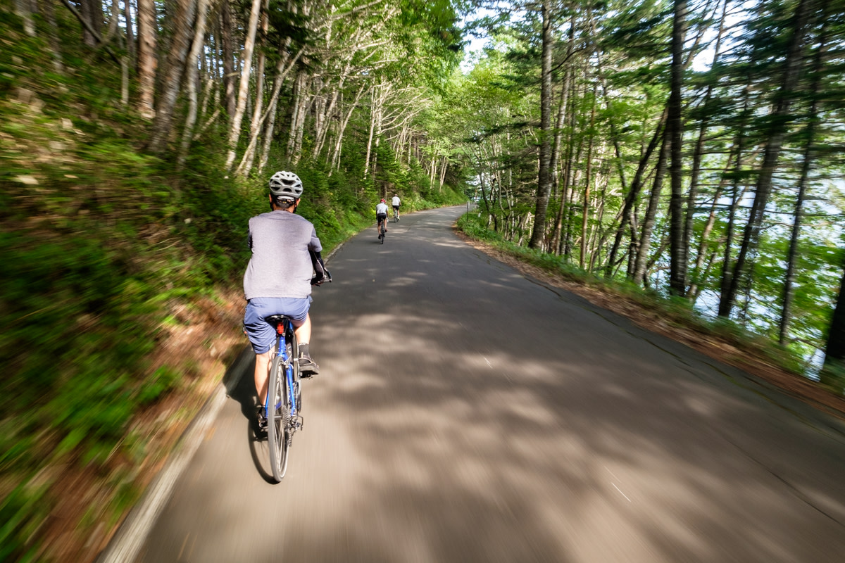 A cyclist speeds along a lakeside road lined with silver birch trees in the Daisetsuzan National Park