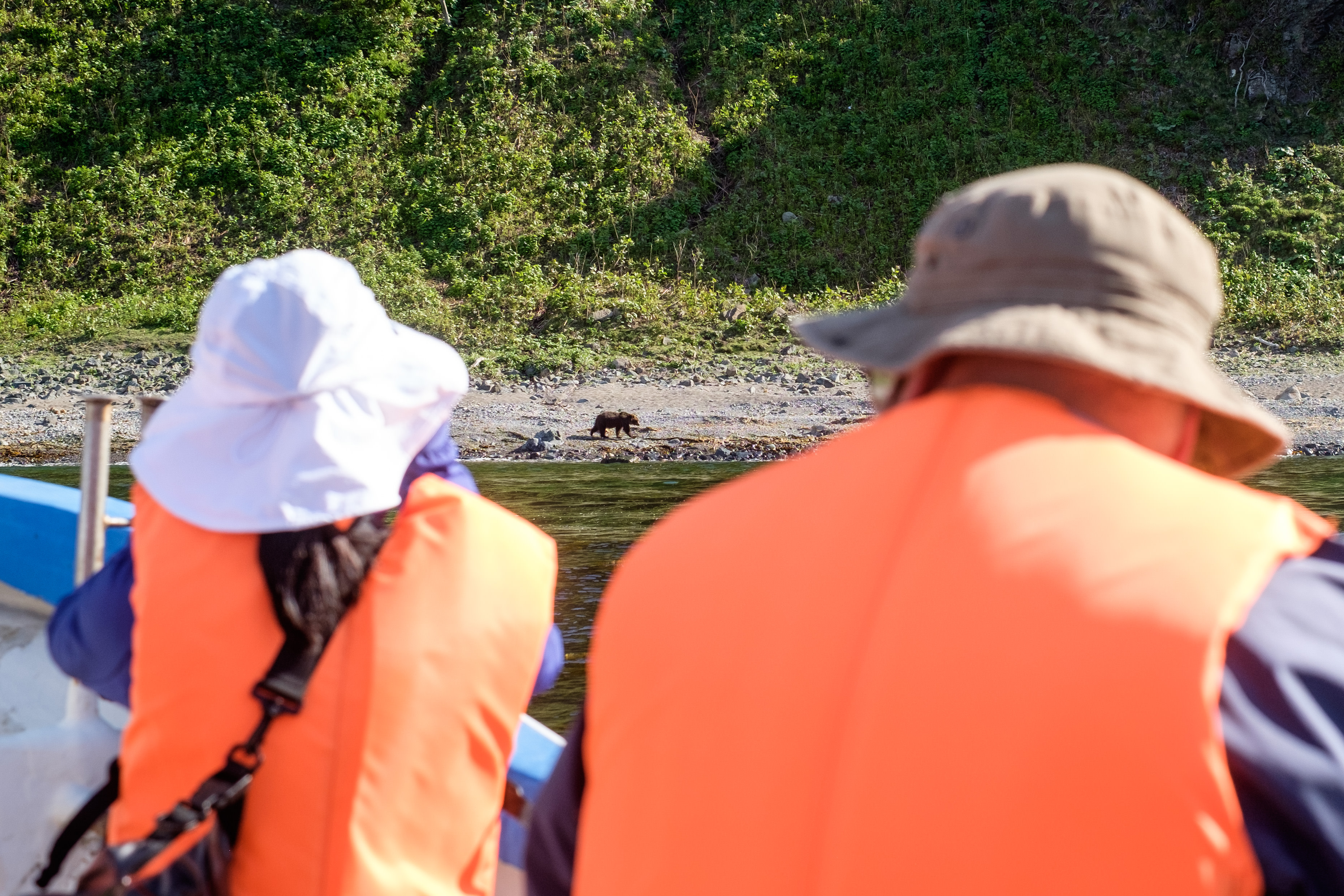 Two wildlife watchers wearing orange life jackets and riding a small boat look at a Brown Bear walking along the shore