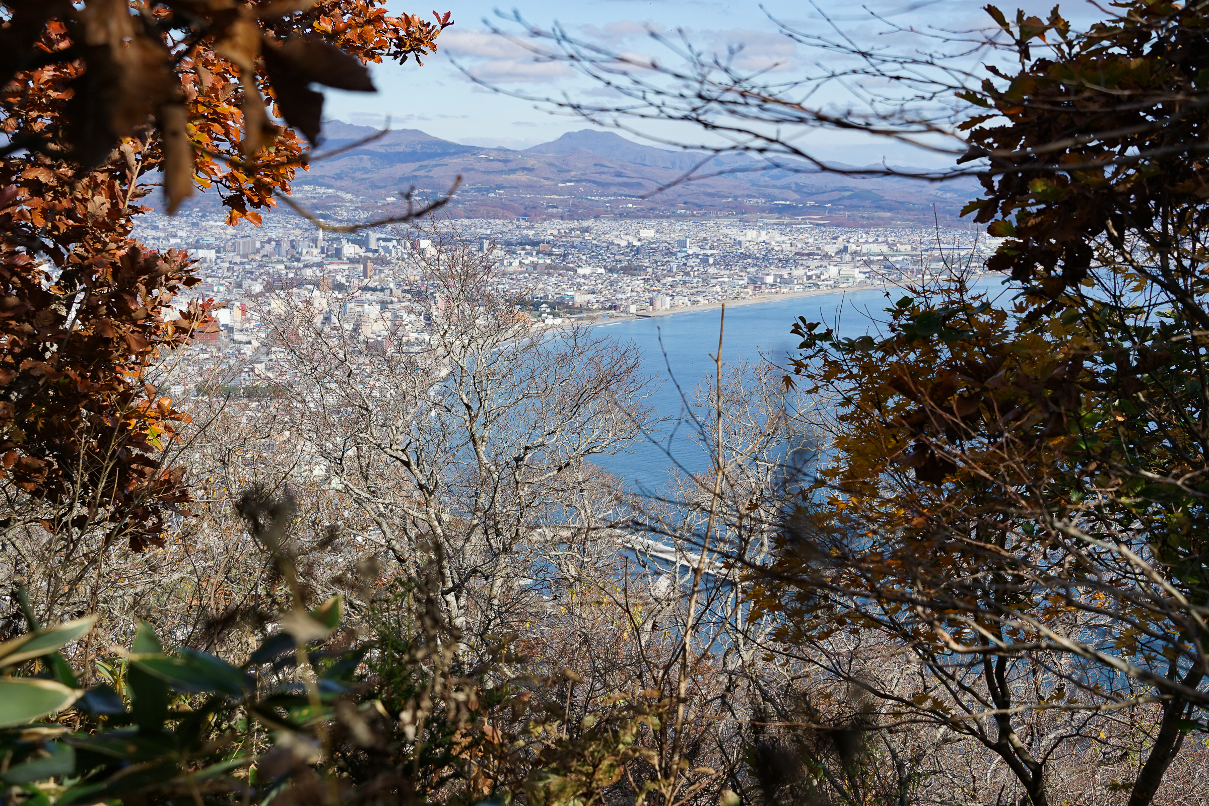 The view of Hakodate bay and Hakodate city as seen from the Mt. Hakodate climb.