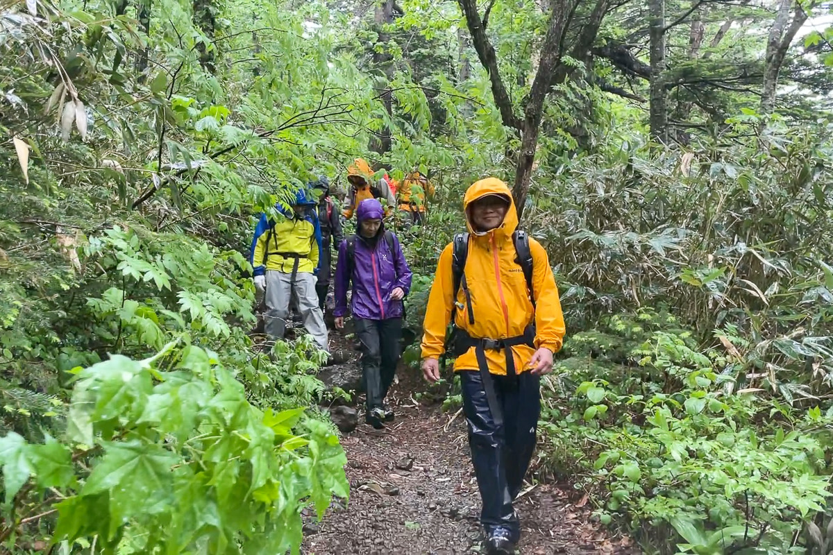 Colourful hikers in the forest on Rishiri Island, Hokkaido