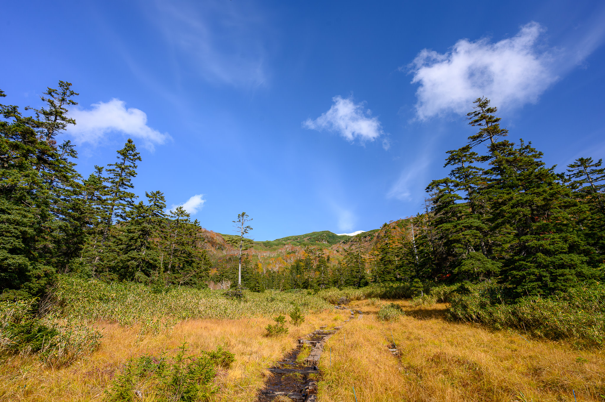 Mt. Asahidake's Tennyogahara trail showing off pleasant autumn hues.