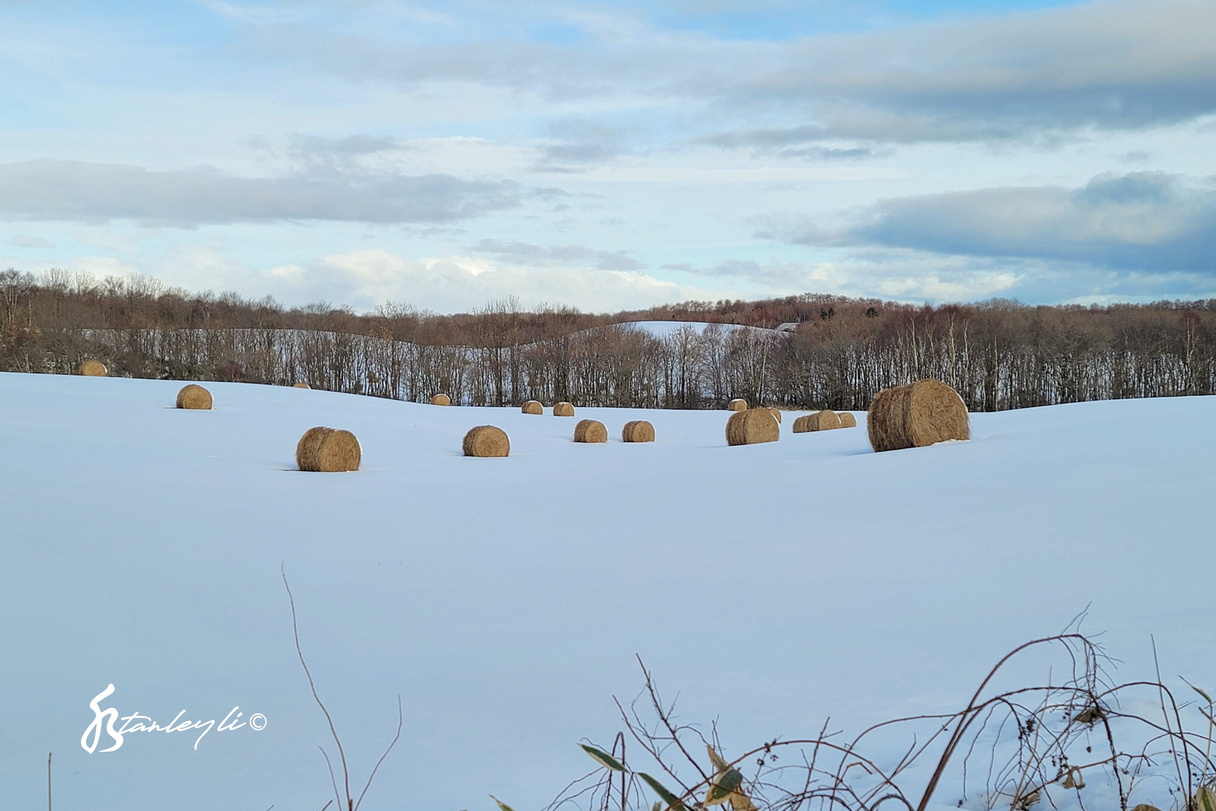 Hay bales sat out in a snowy field. ©️ Stanley Li