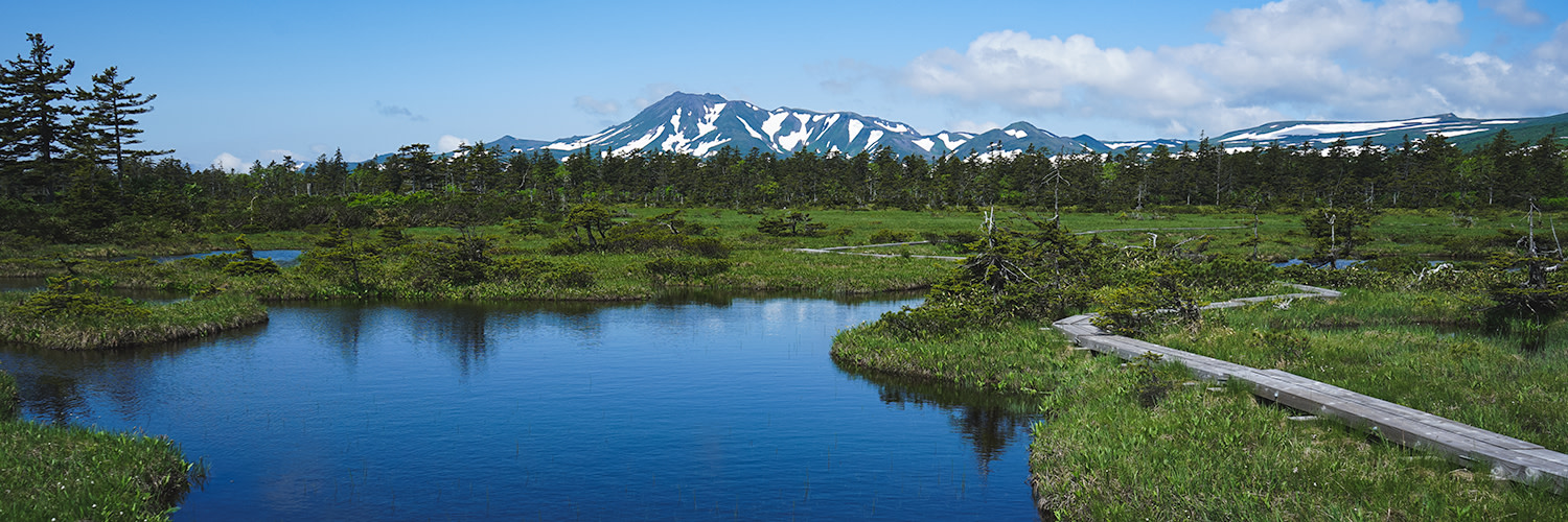 A board walk leads past a still alpine pond. The photo is taken in an open bog dotted with a few fir trees. The mountains in the distance are striped with the remnants of winters snow.
