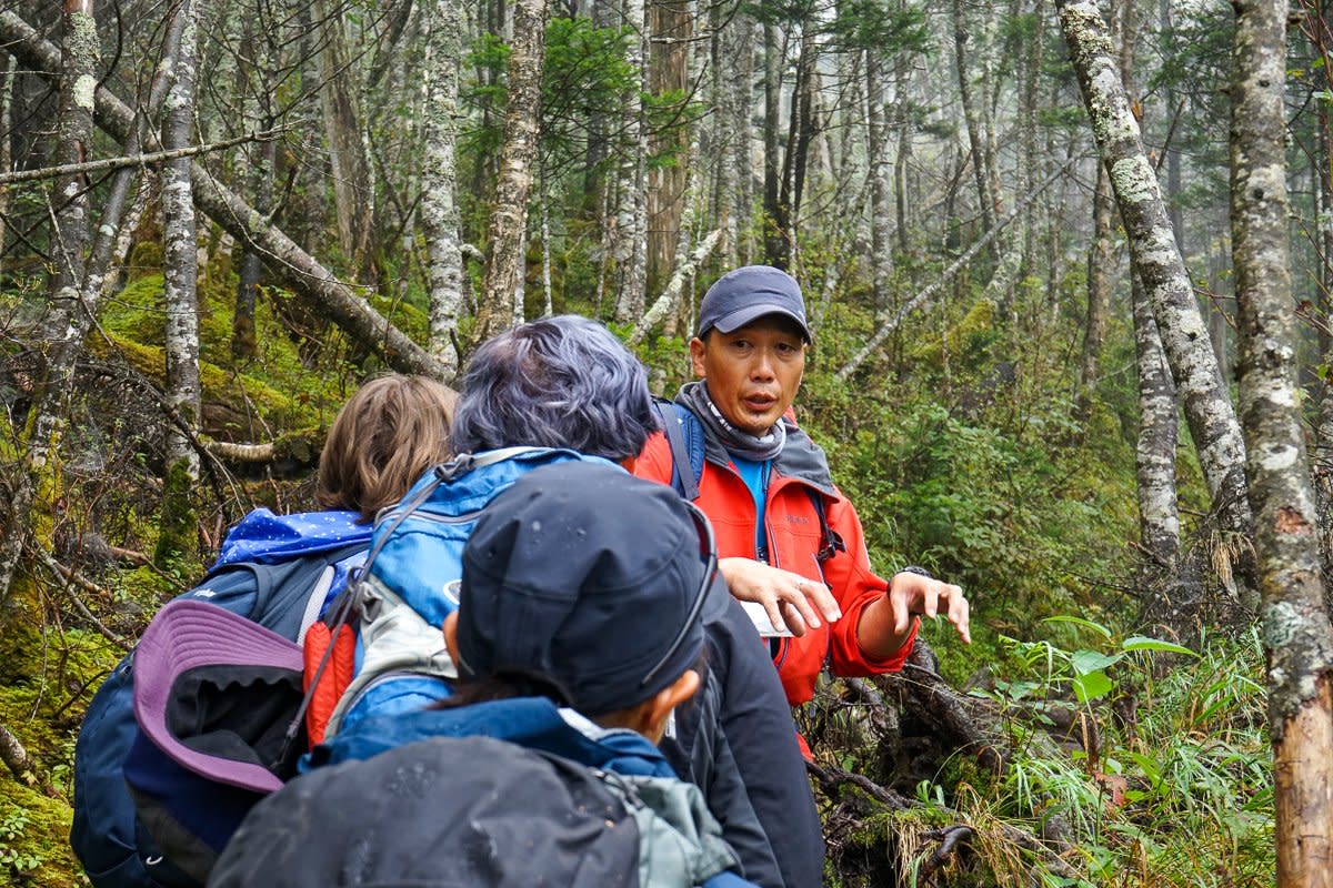 Guide Yasu explaining about the forest at Mt Hakuunzan