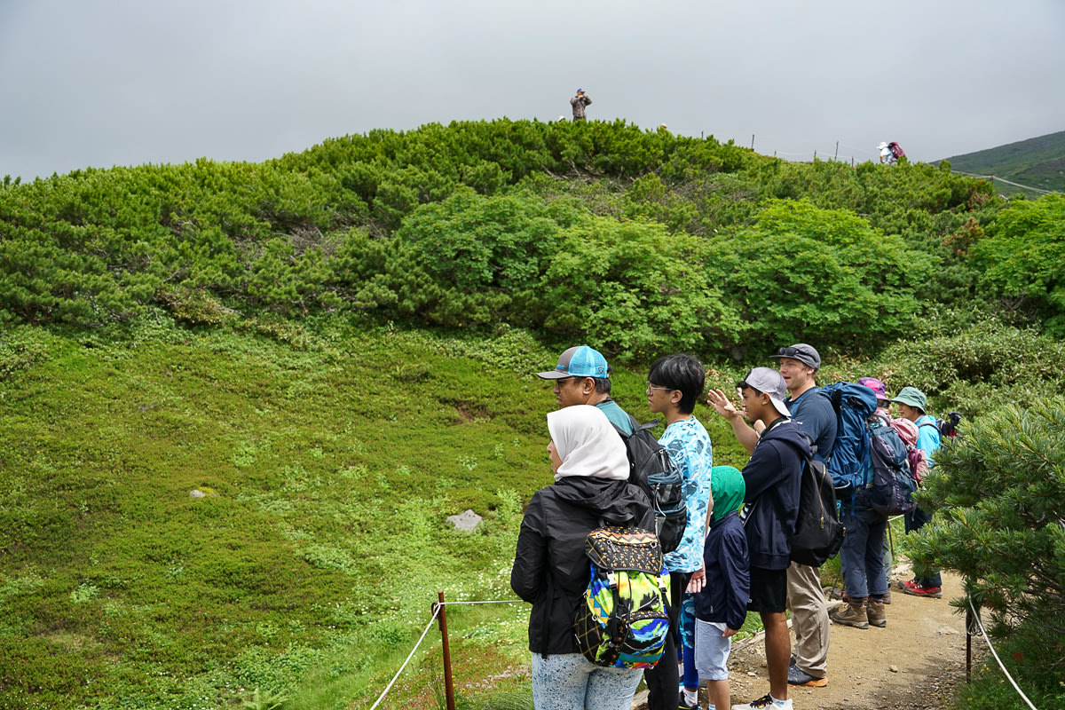 A family gathers on a trail on Mt. Asahidake, admiring and taking photos of something out of frame to the left.