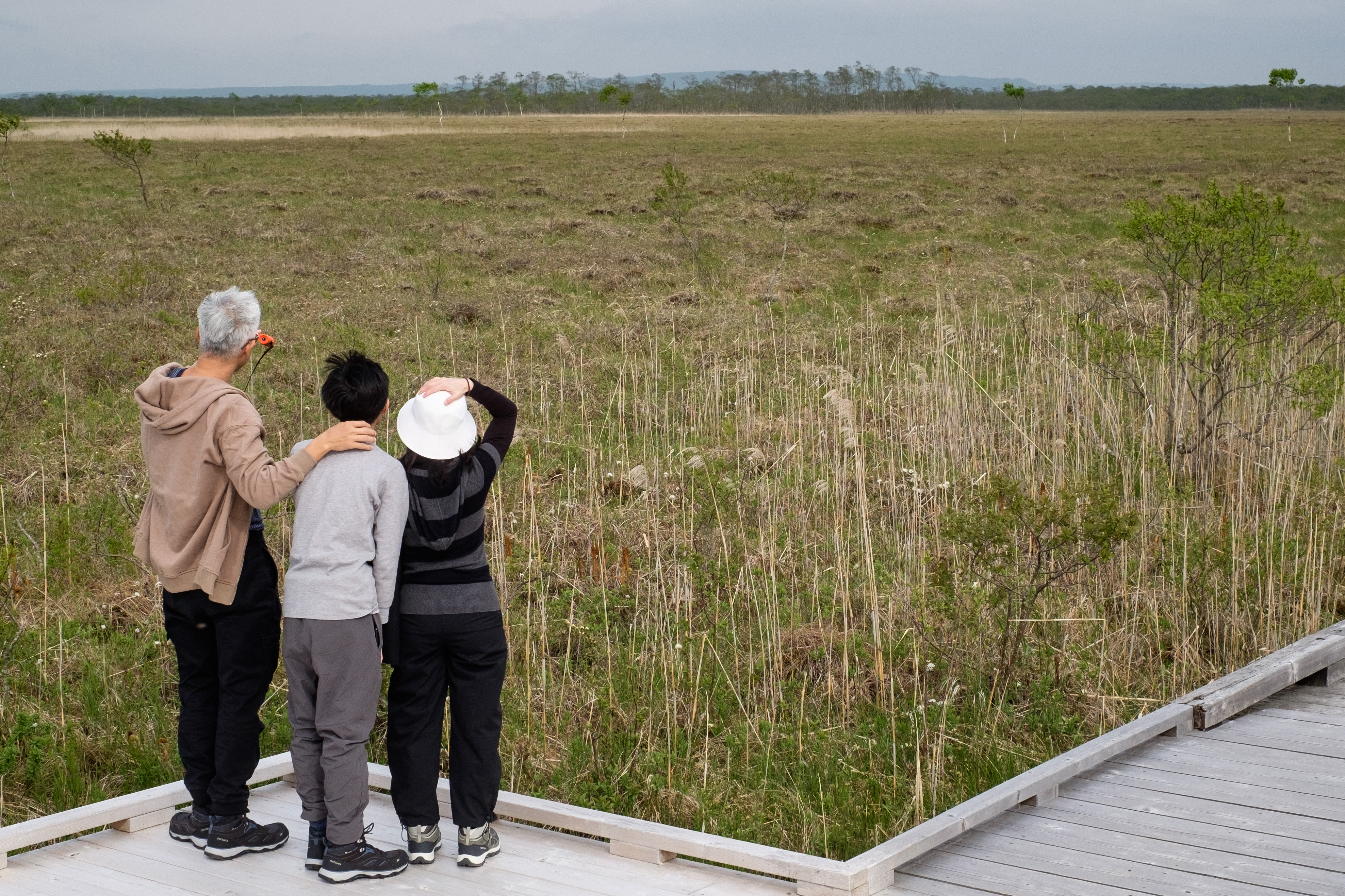 A family stand on a wooden boardwalk while looking for birds in the Kushiro wetlands