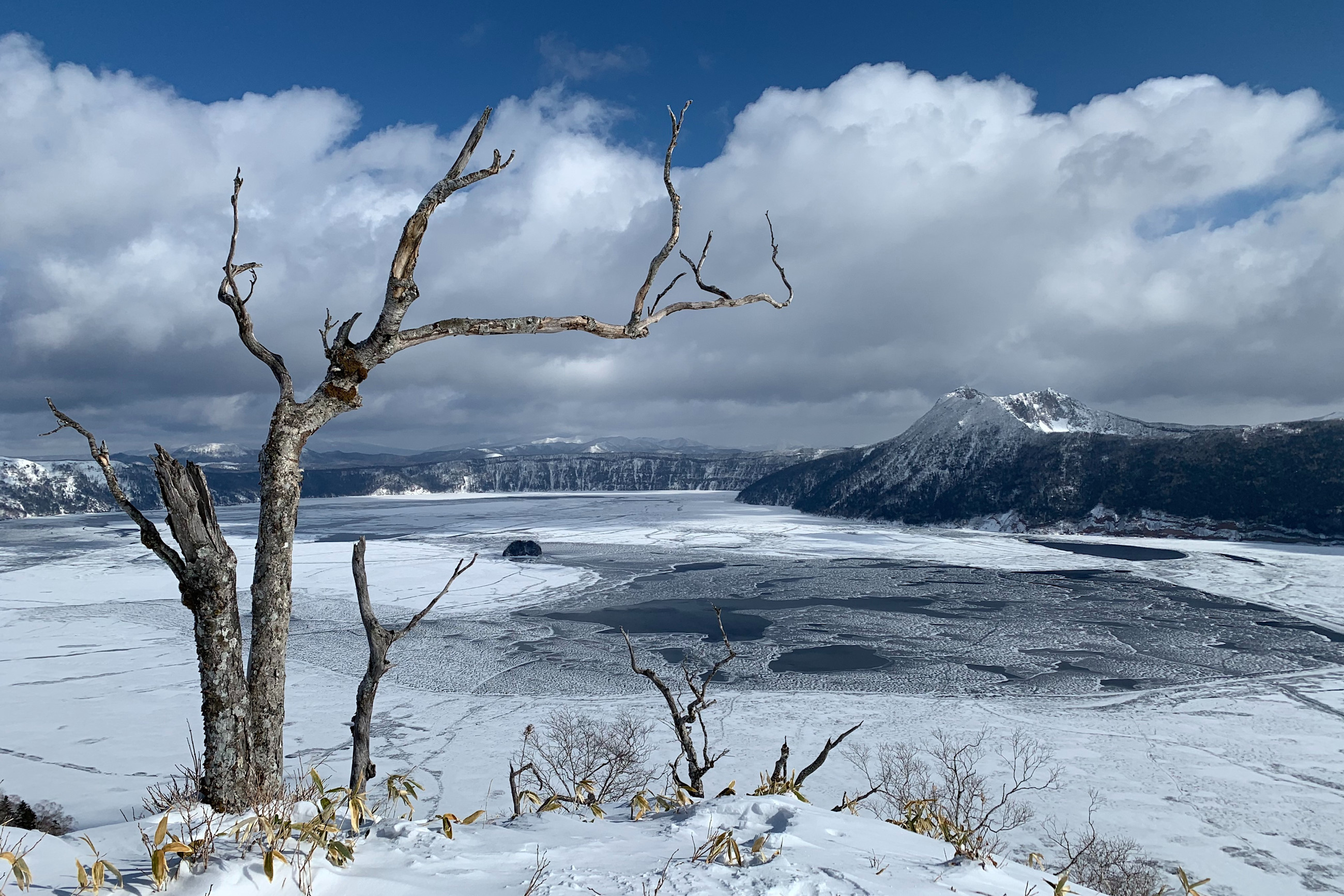 A Local's Guide to Snowshoeing in Hokkaido Adventure Hokkaido