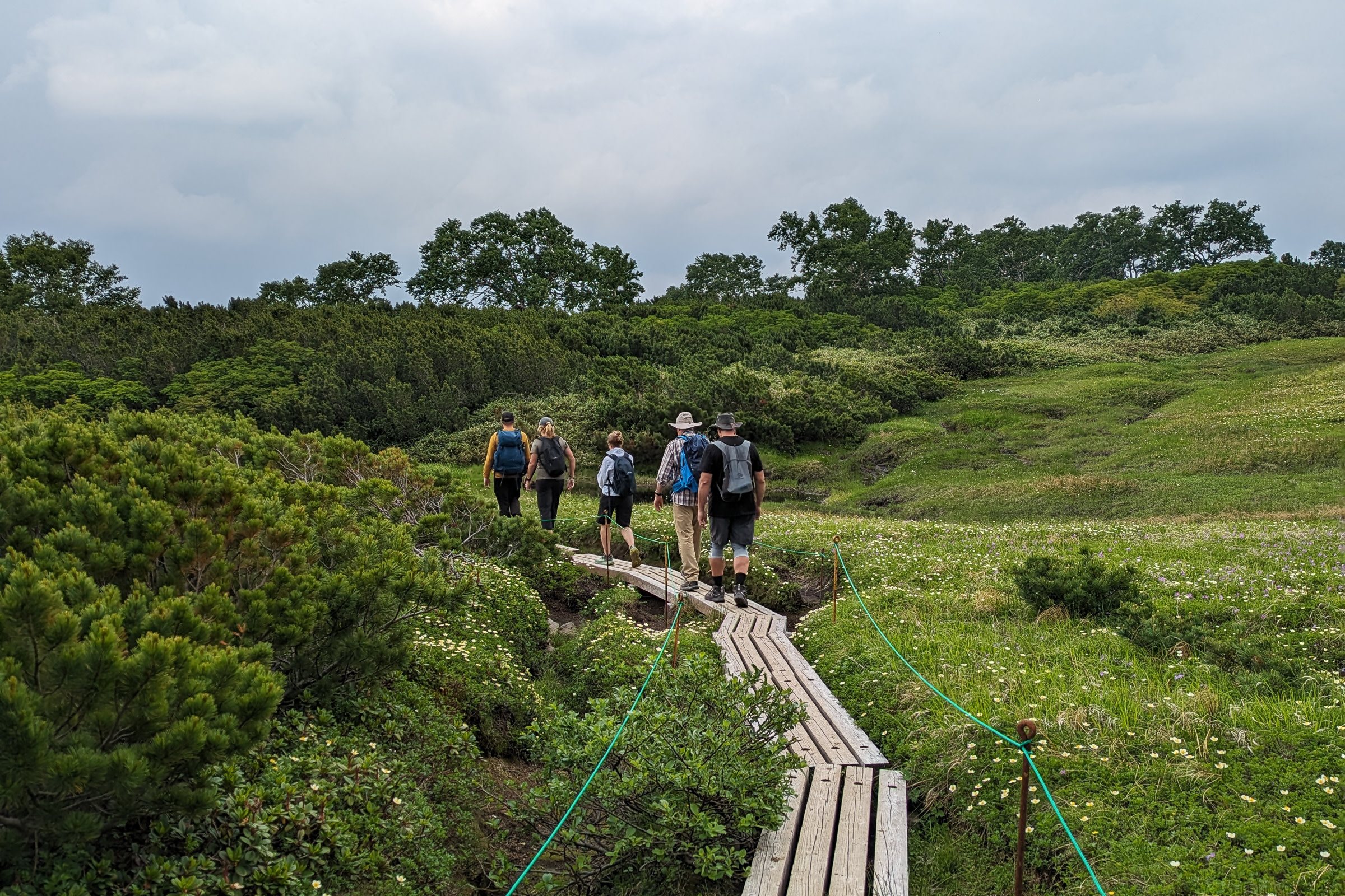 Boardwalk in the middle of natural alpine flower meadows, Mt. Midori.