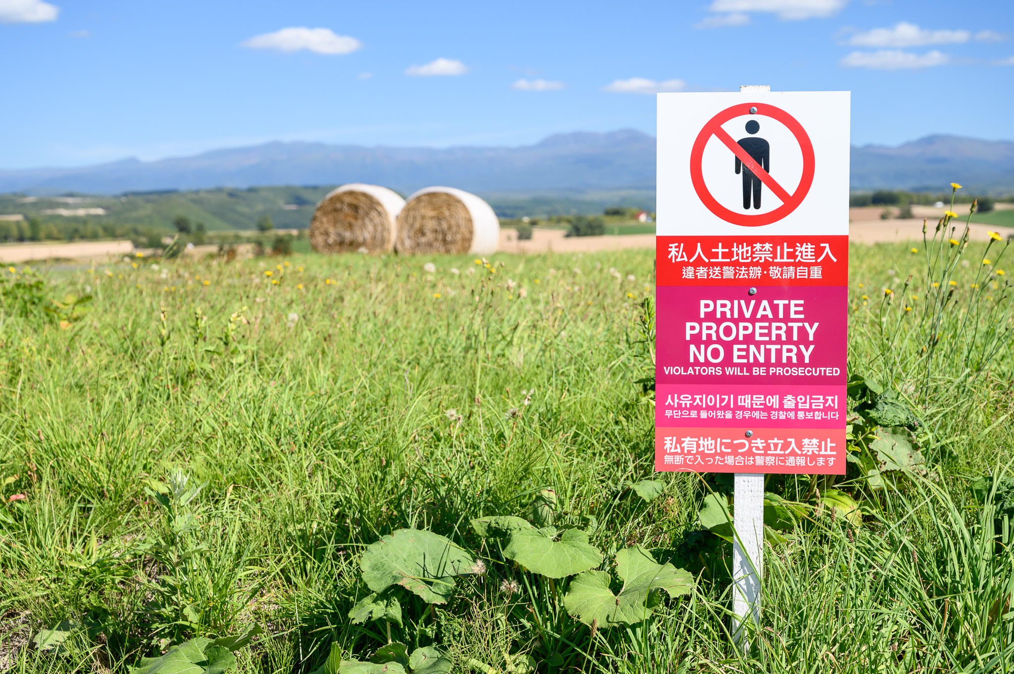 A sign with a human figure crossed out sits at the edge of a field. The sign reads, in various languages, "Private Property - No Entry".