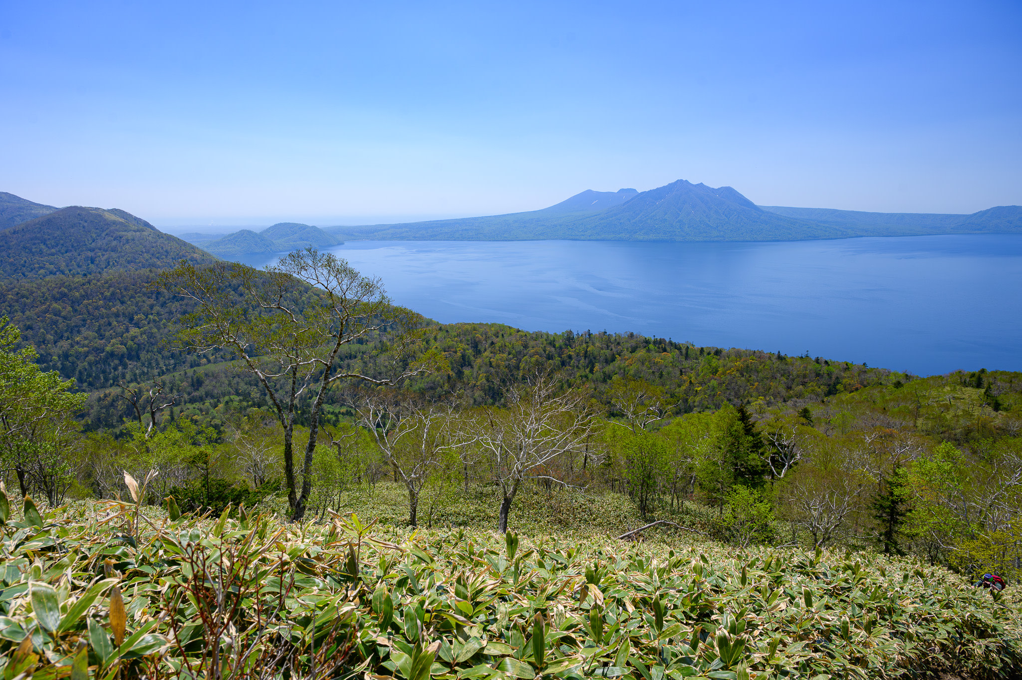 A view from the top of Mt. Ichankoppe. Bamboo grass slopes away to Lake Shikotsu and a mountain looms out of the lake in the distance.