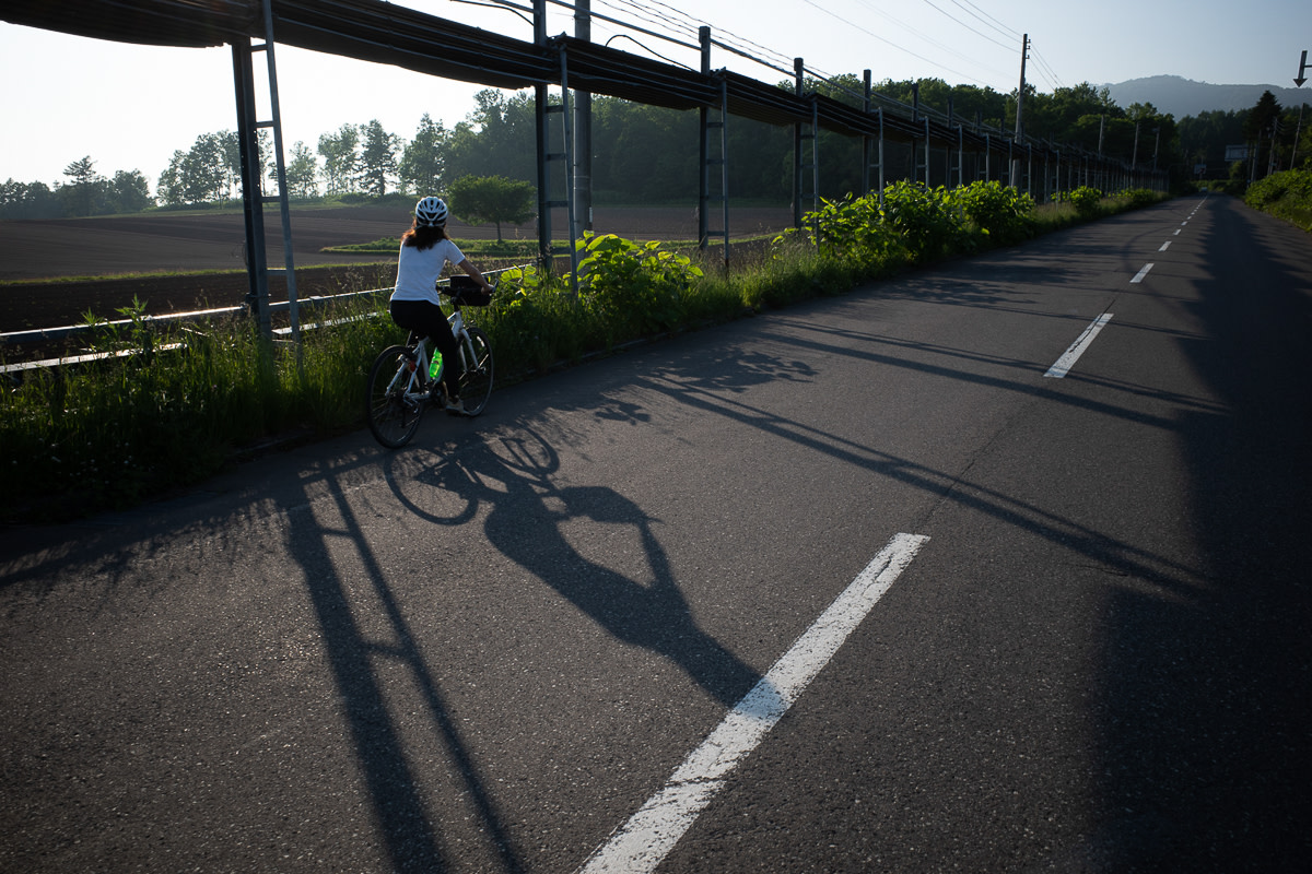 A cyclist is framed in the shadows of a barrier on a road near Niseko.
