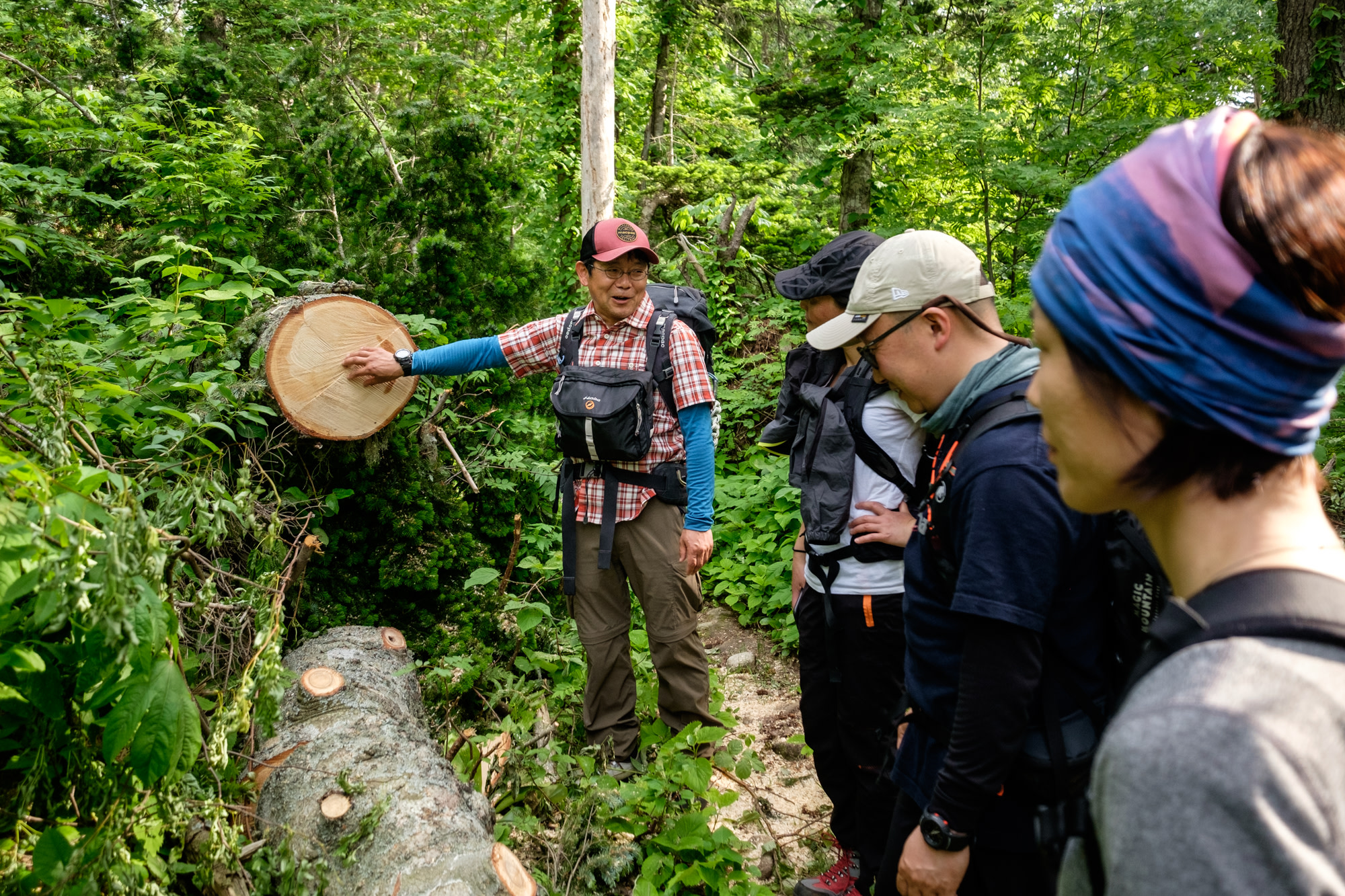 A nature guide explaining a recently cut tree to a group of hikers