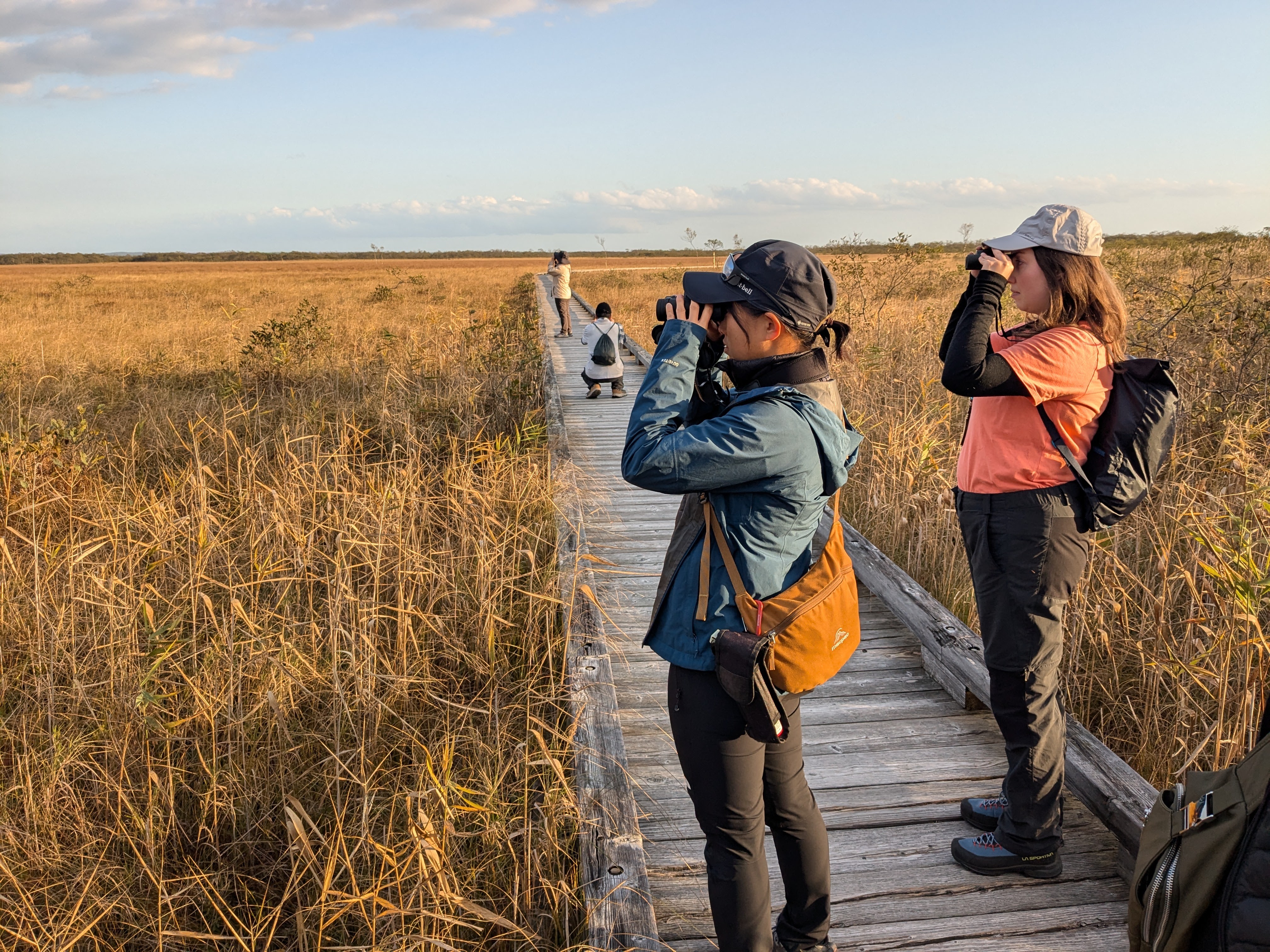 On a board walk in a grassland, two people stand with binoculars, looking out towards the horizon.