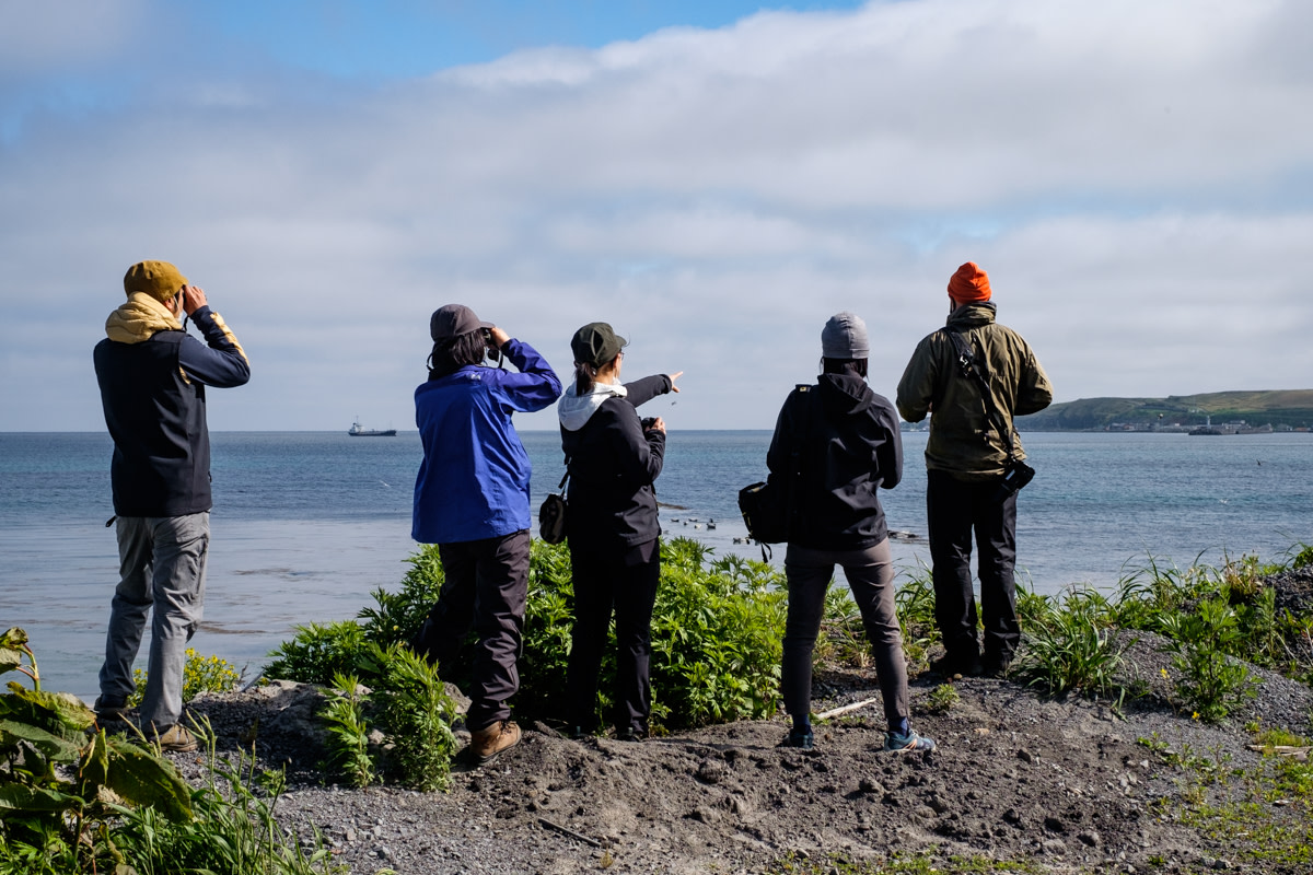 A group of wildlife watchers look for seals on Rebun Island