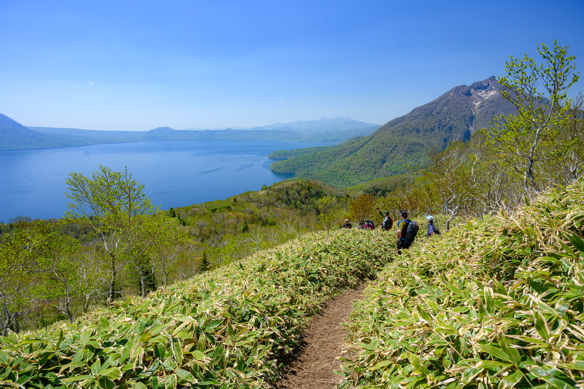 A group of hikers on the Mt. Ichankoppe trail look back at Lake Shikotsu below them. The volcanic cone of Mt. Eniwa is visible behind them.