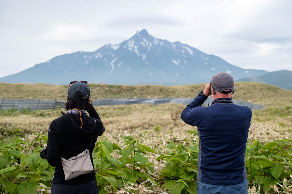 Two birdwatchers watch a black-tailed gull colony with Mt Rishiri in the background.