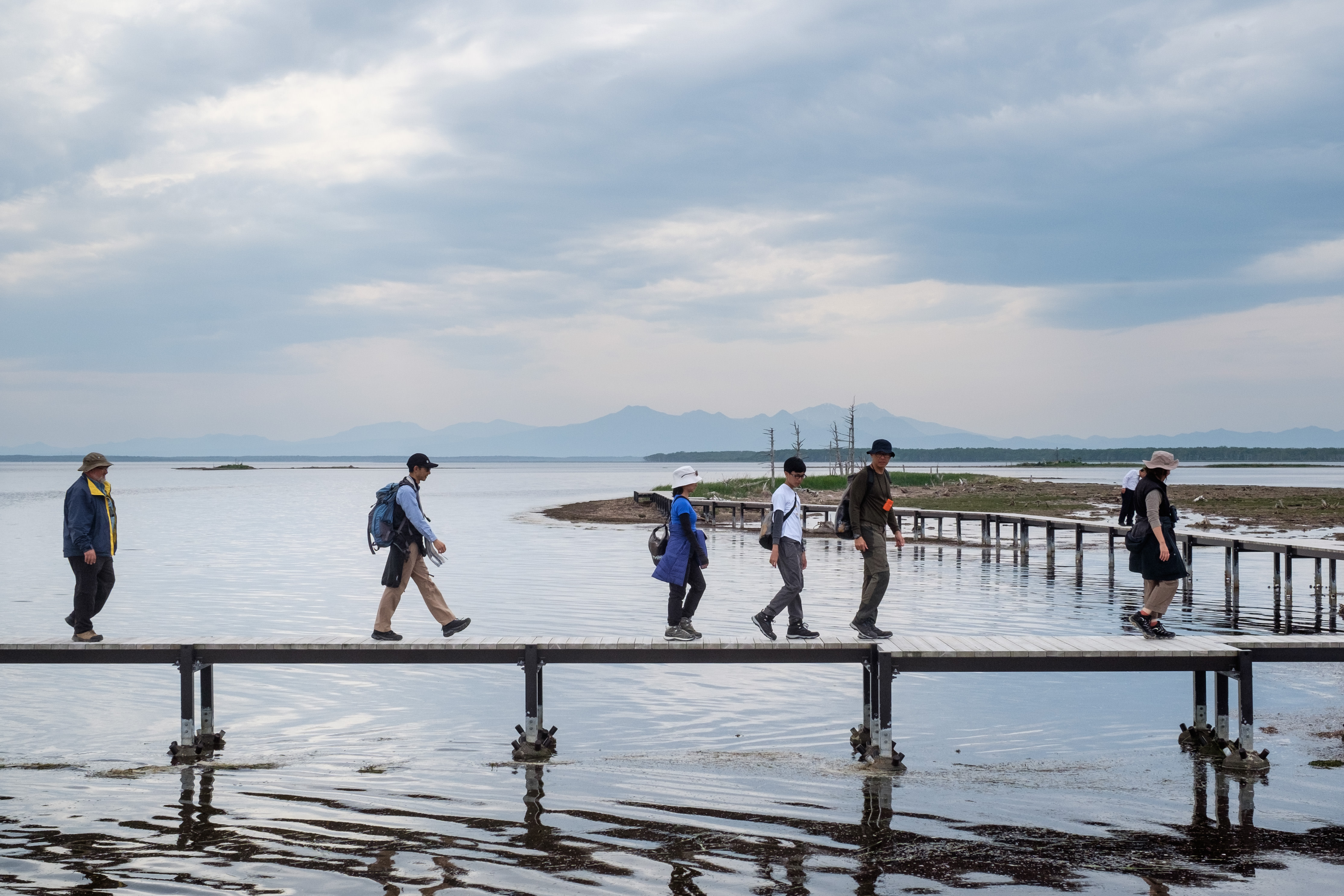 A group of walkers walk across a boardwalk above still water