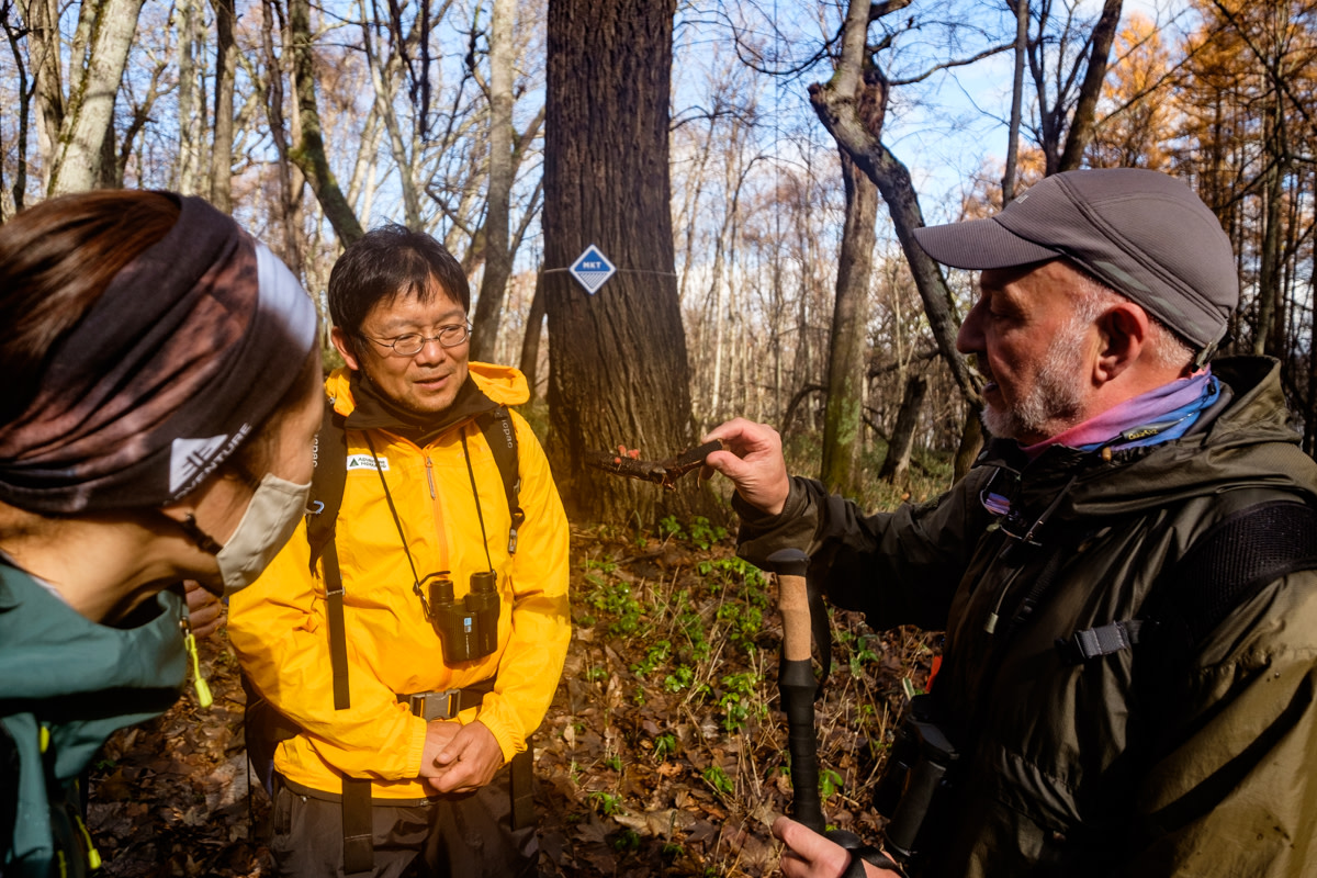 Discovering red fungi