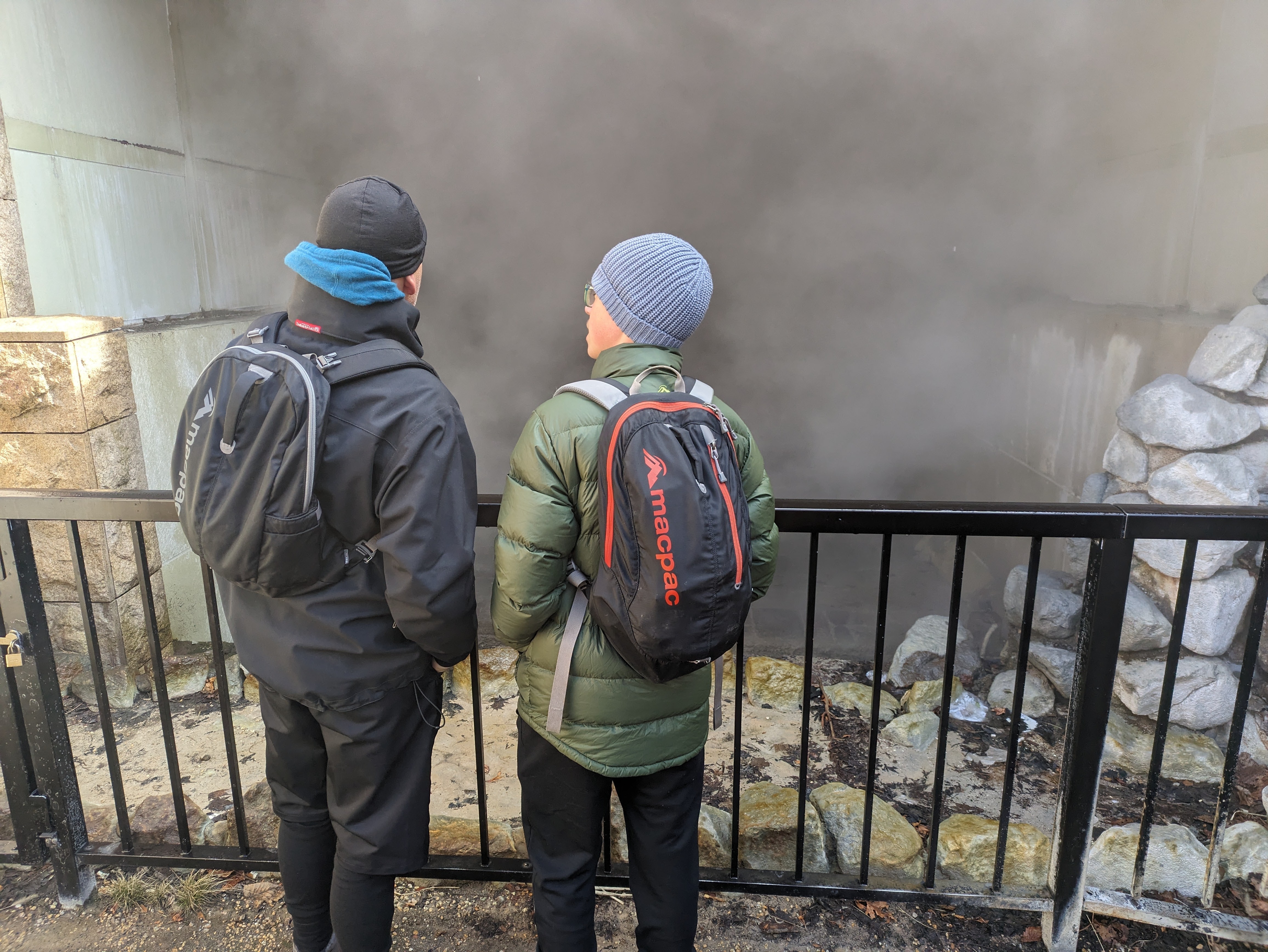 Guests look into a steaming pool of hot spring water.
