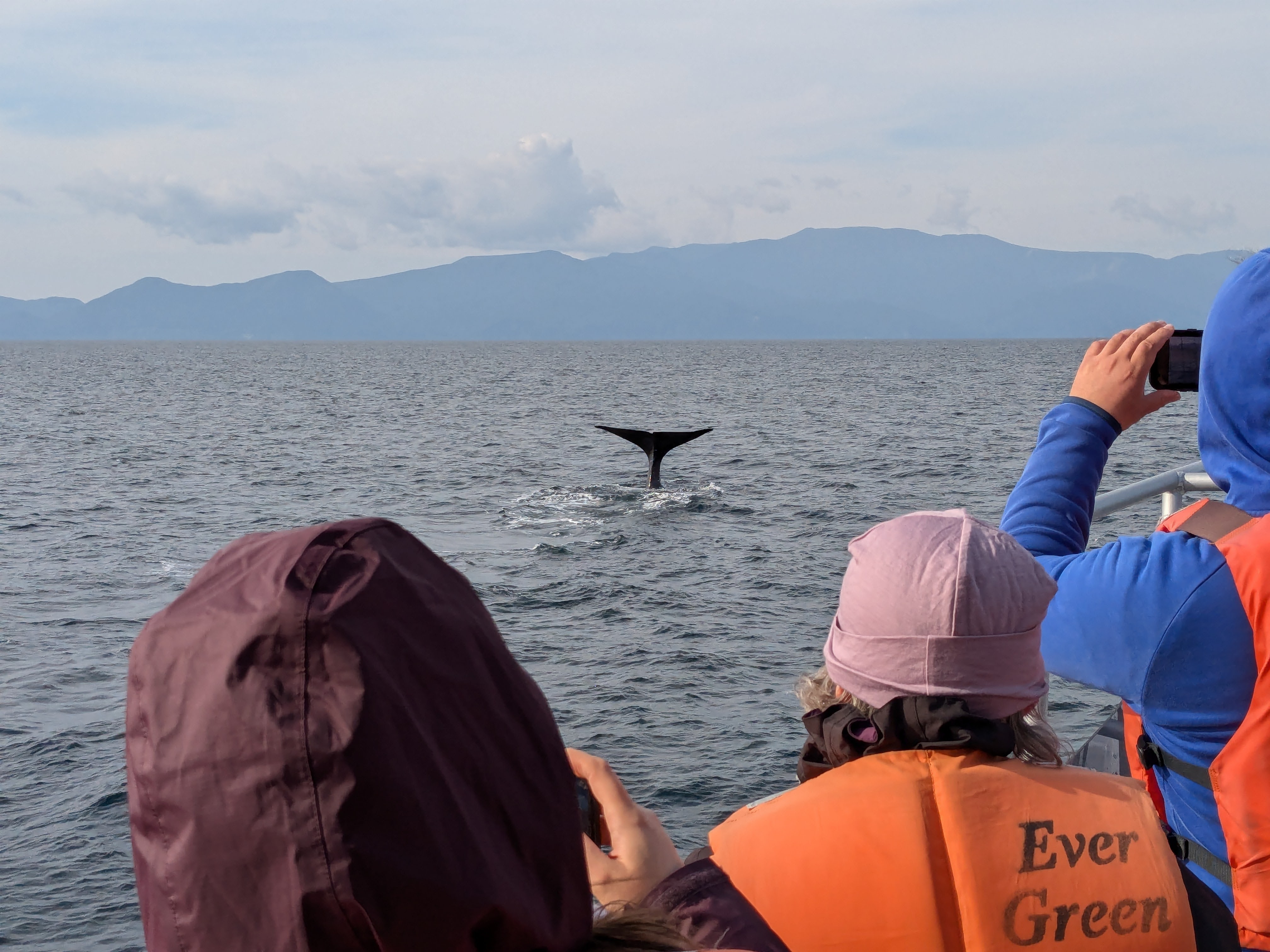 A whale's tail rises out of the ocean in the background. In the foreground, several people are taking a photo of the whale from a boat.