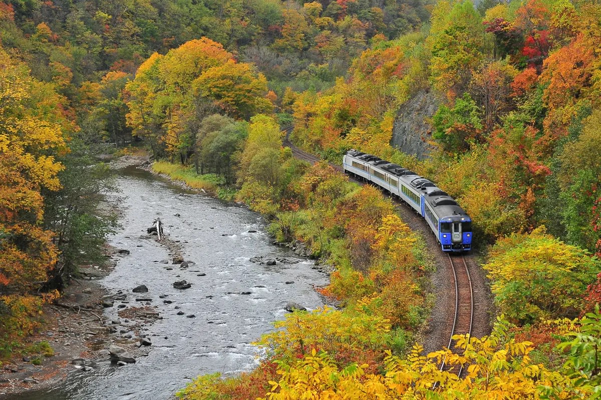 Train in Hokkaido travelling through a gorge in autumn - How much does it cost to travel in Hokkaido?