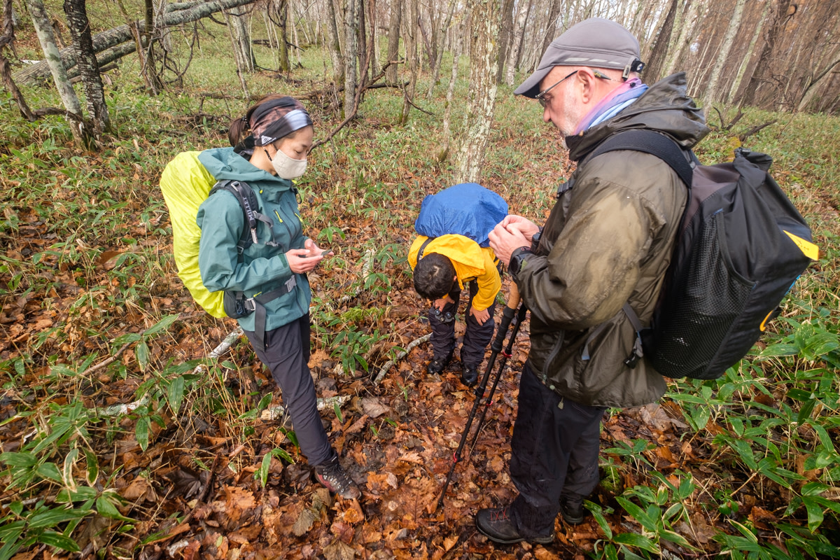 Discovering the difference between mushroom and fungi