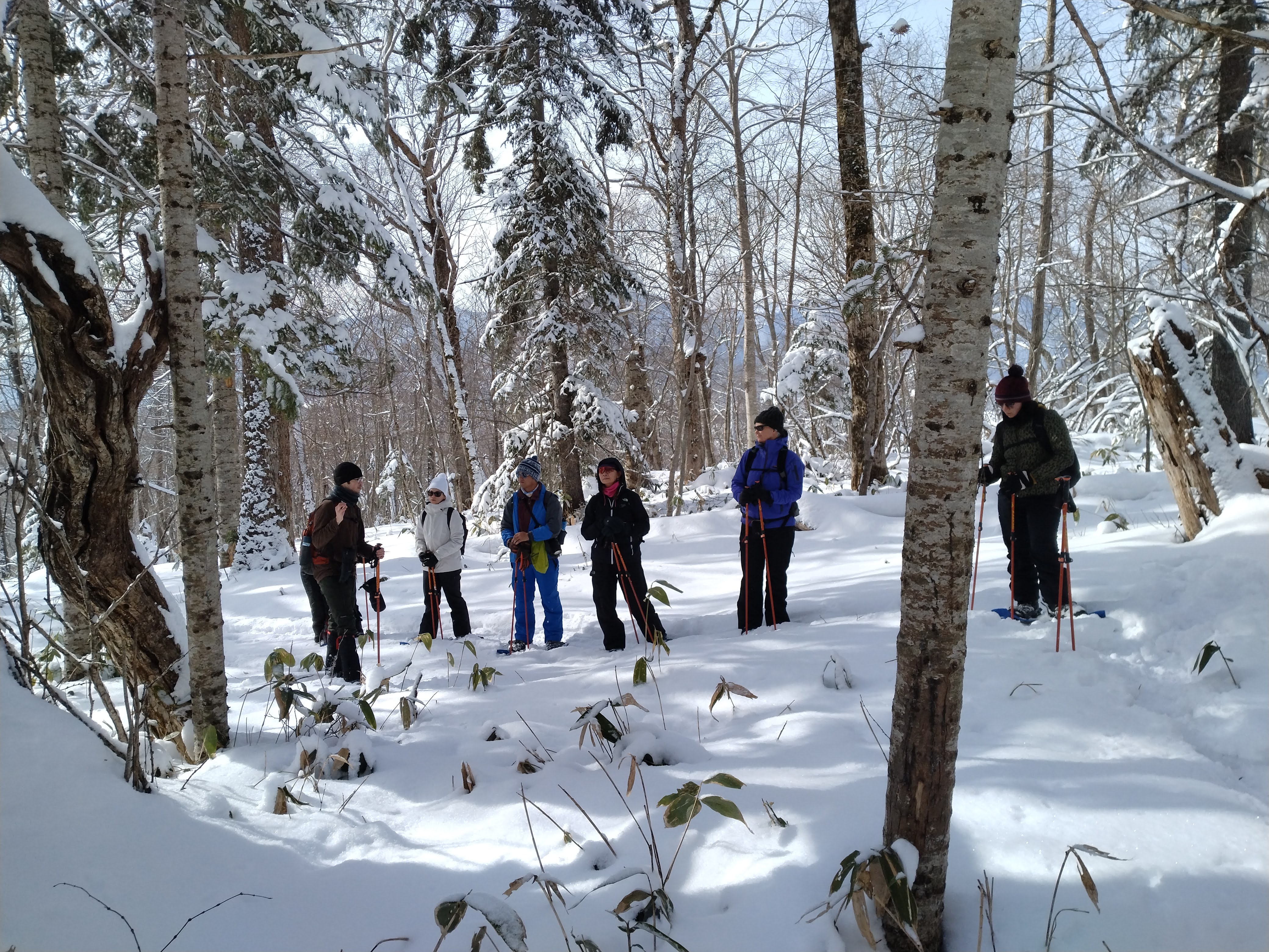A guide explains natural features to guests while snowshoeing through the forest at Wakoto Peninsula.