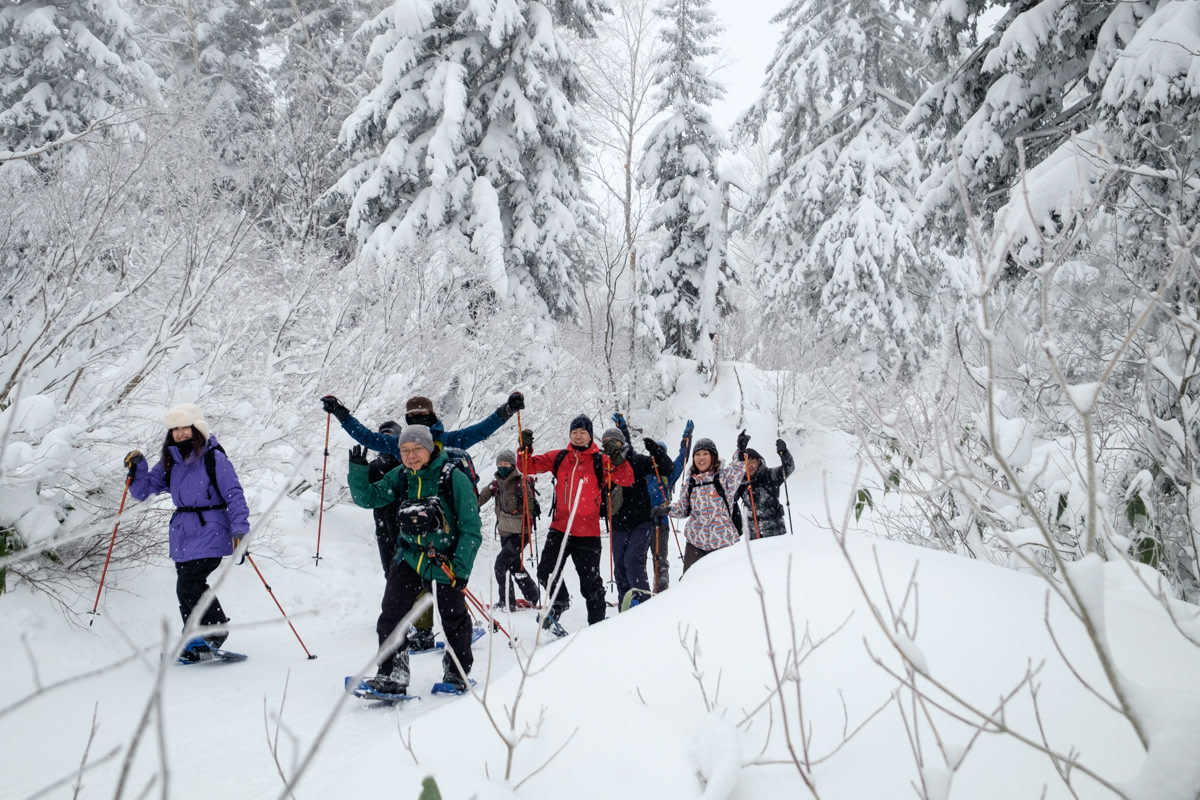 Snowshoeing in the forest at Asahidake
