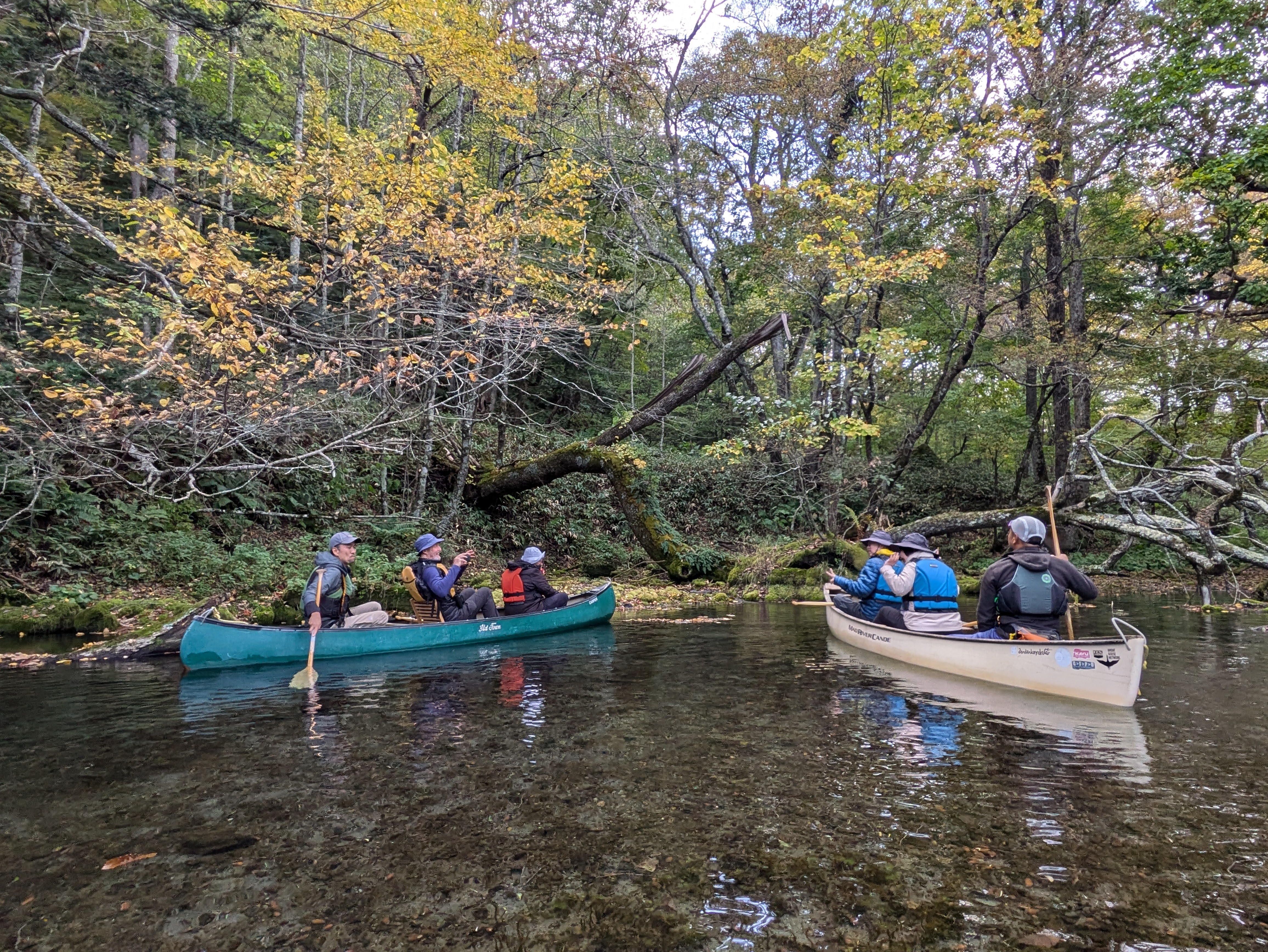 Two canoes on a river in autumn. There are three people in each canoe. They have pulled up at the edge of the river, where a forest grows on the bank.