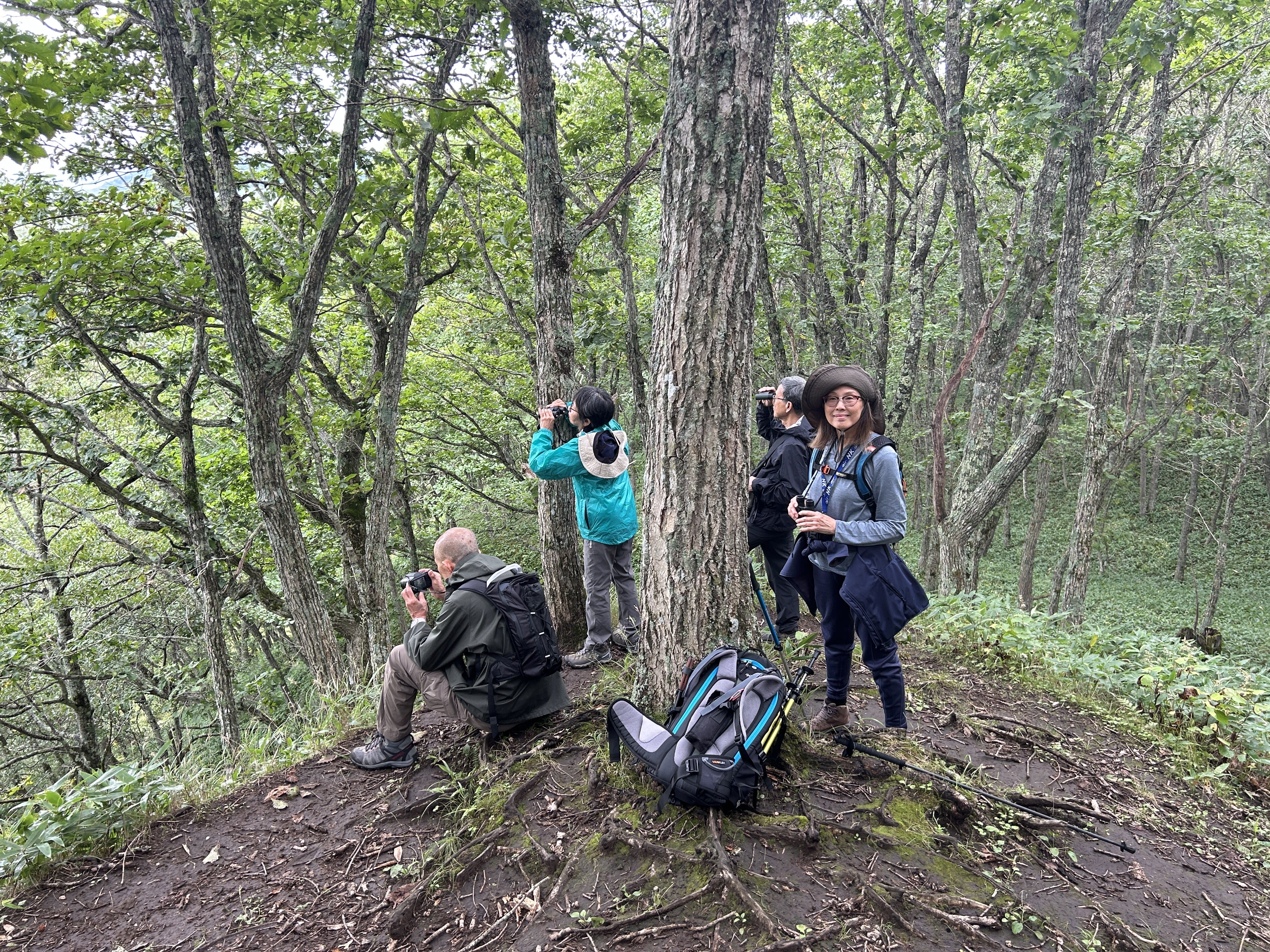 A group of four hikers stand atop a hill in a forest. Many of them are using binoculars or cameras to take photographs of something far beyond.