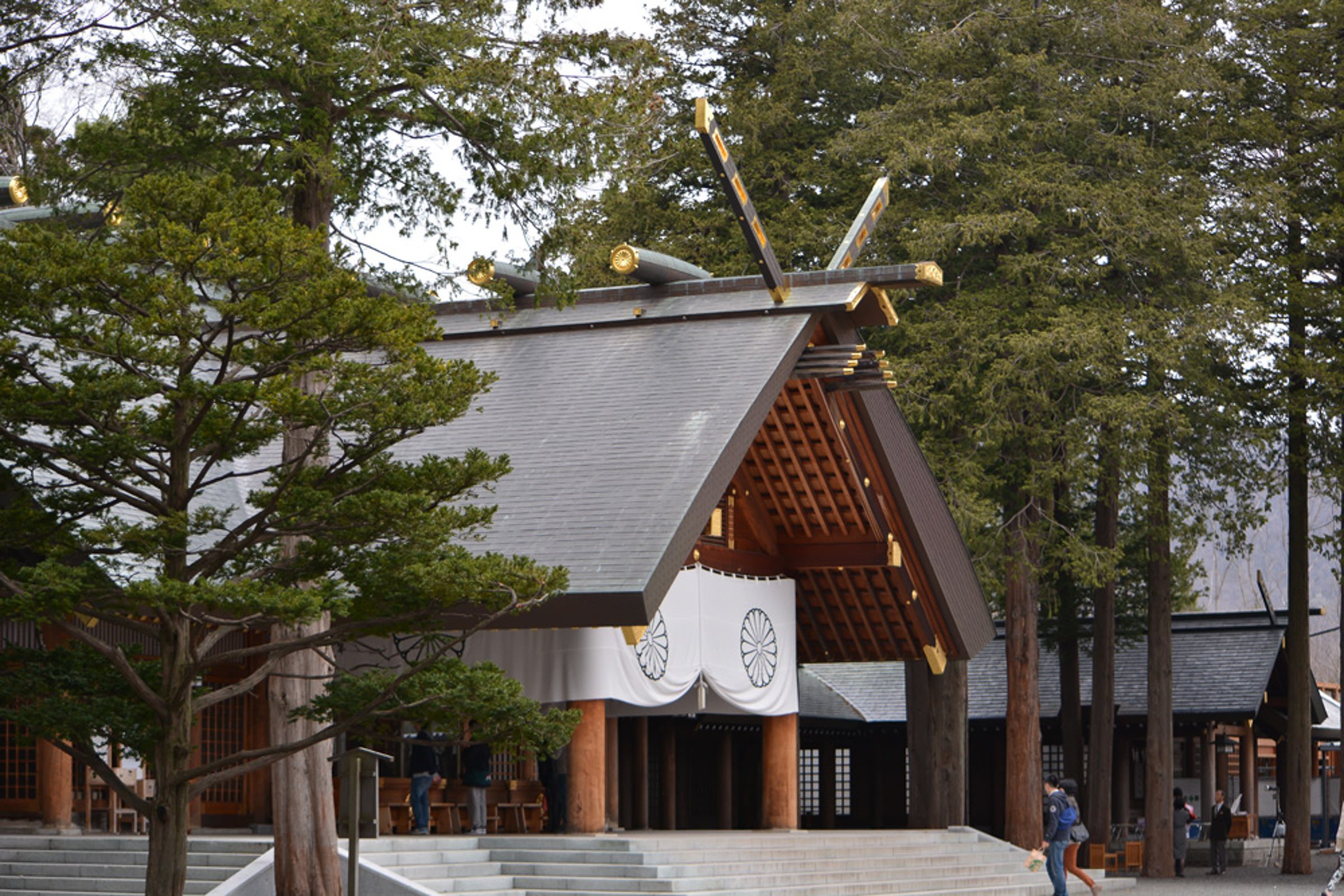 Hokkaido Shrine, the largest and most important shrine in Hokkaido. Around the shrine are tall fir trees.