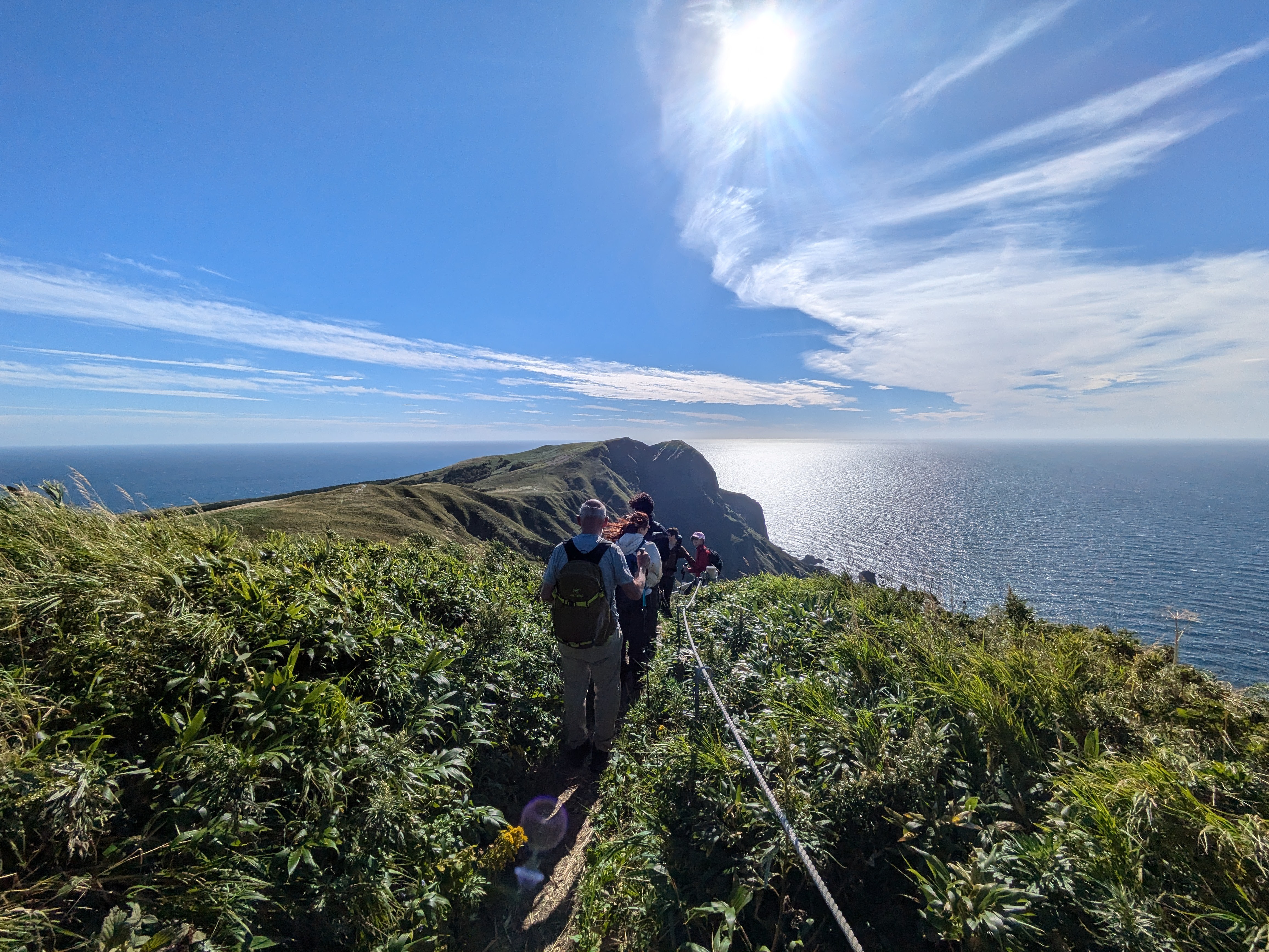 A group of hikers proceeds on a small dirt trail through bushes on the Momoiwa Trail, Rebun Island. It is a beautifully sunny day and the ocean is visible in the distance.