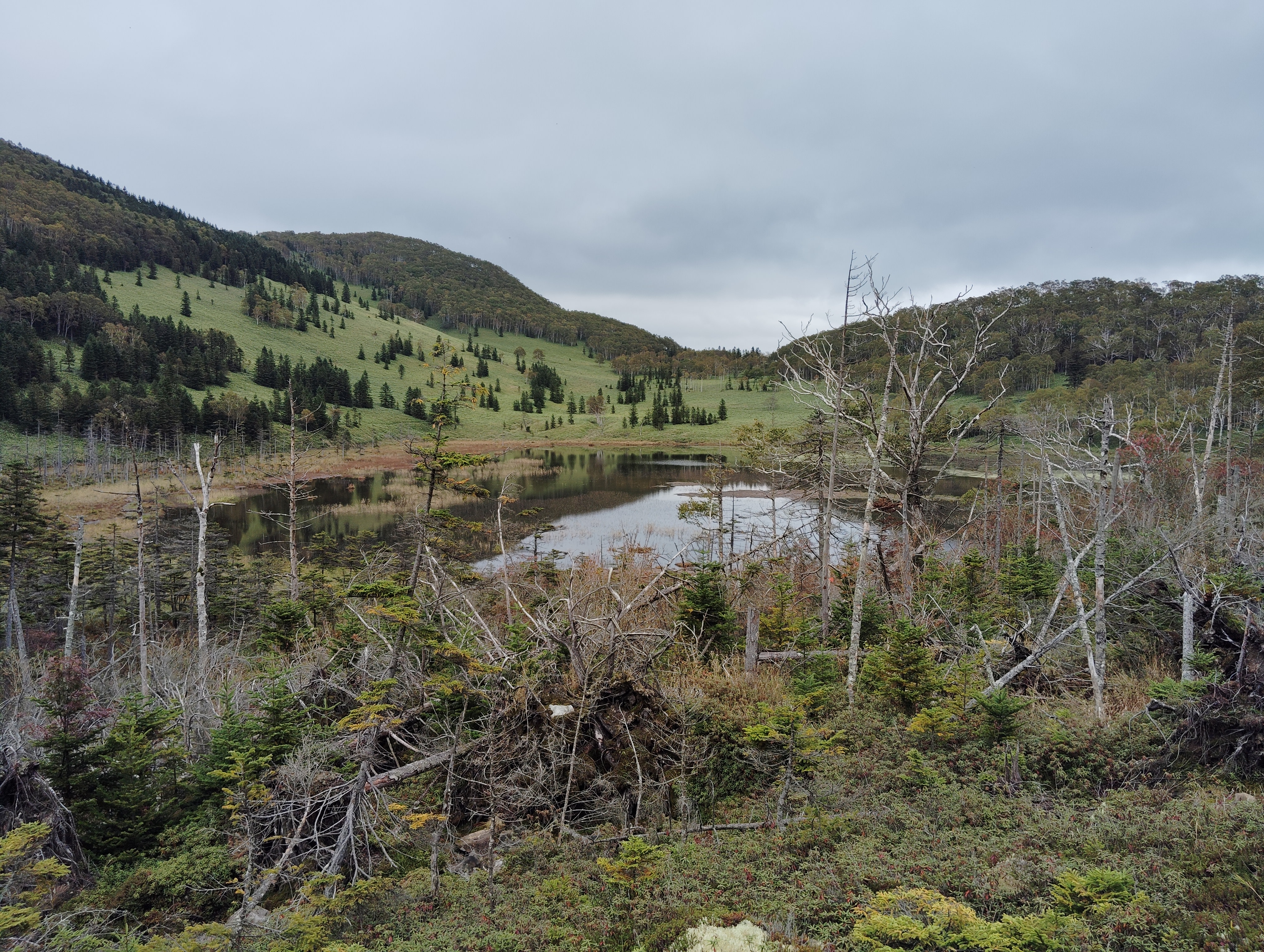 A view of Shinonome Lake on Mt. Tempo, Hokkaido. It is a small, circular, volcanic lake surrounded by many trees. It is an overcast day, but still, so the lake is reflecting the scenery like a smooth mirror.