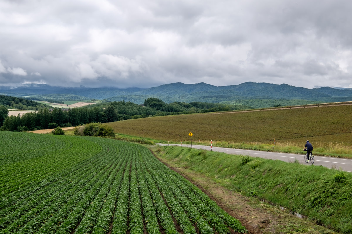 A cyclist rides through rolling farmland with mountains in the background.