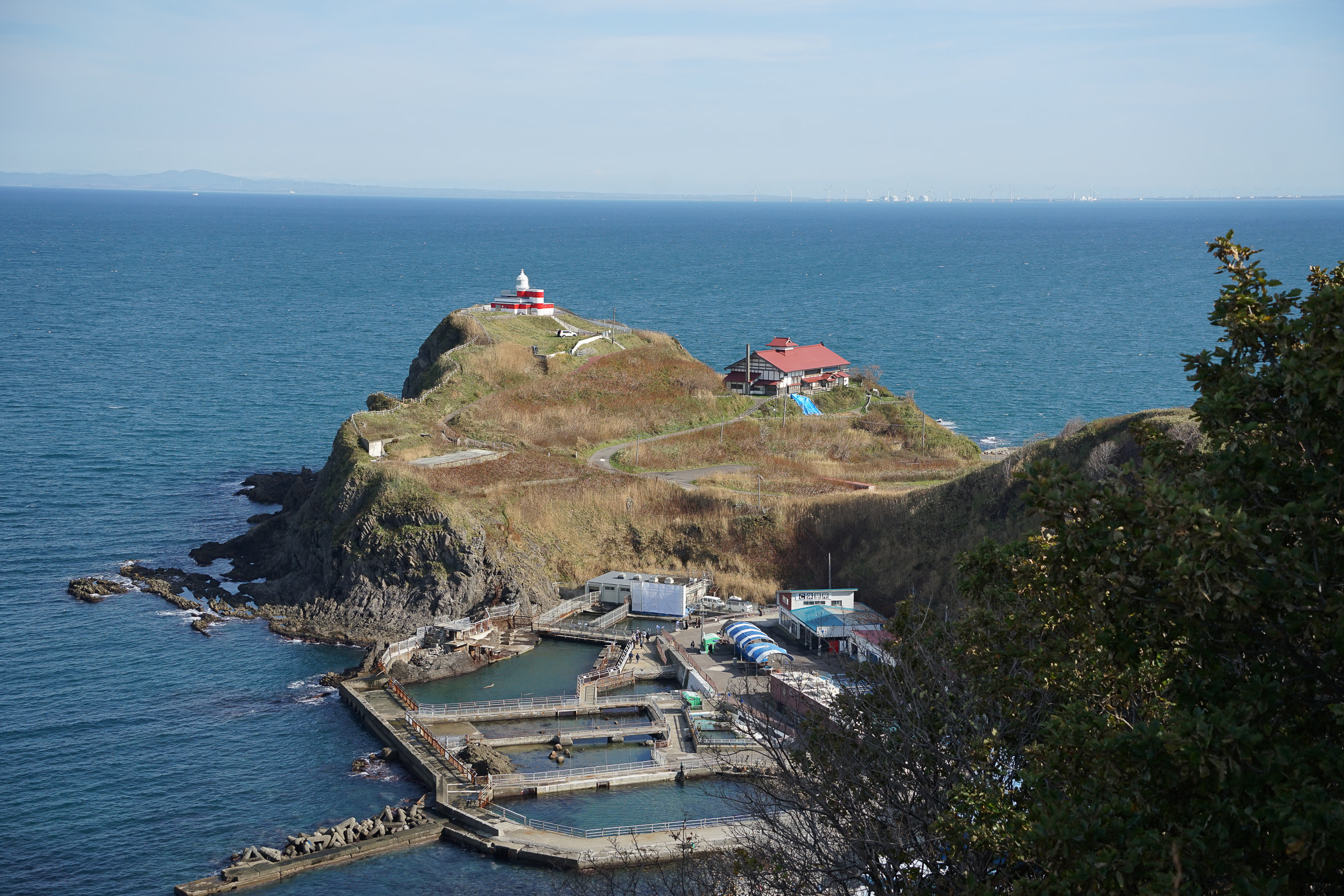 A view of a port from the top of a cliff. There is a lighthouse and several jetties in the water.