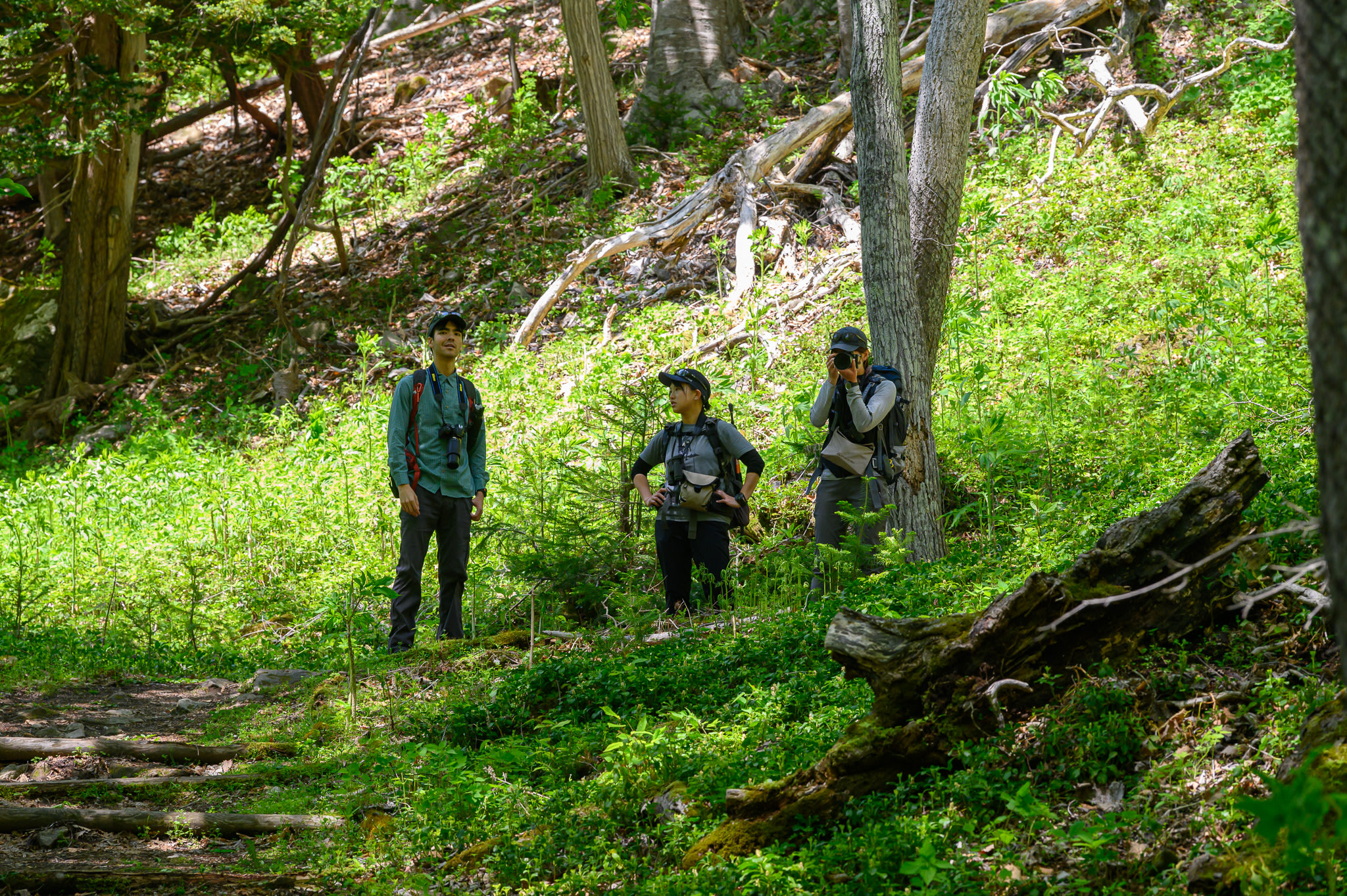 Three people stand in a row in a forest. Two have cameras. The person on the far right is holding up the camera to their face, taking a photograph.