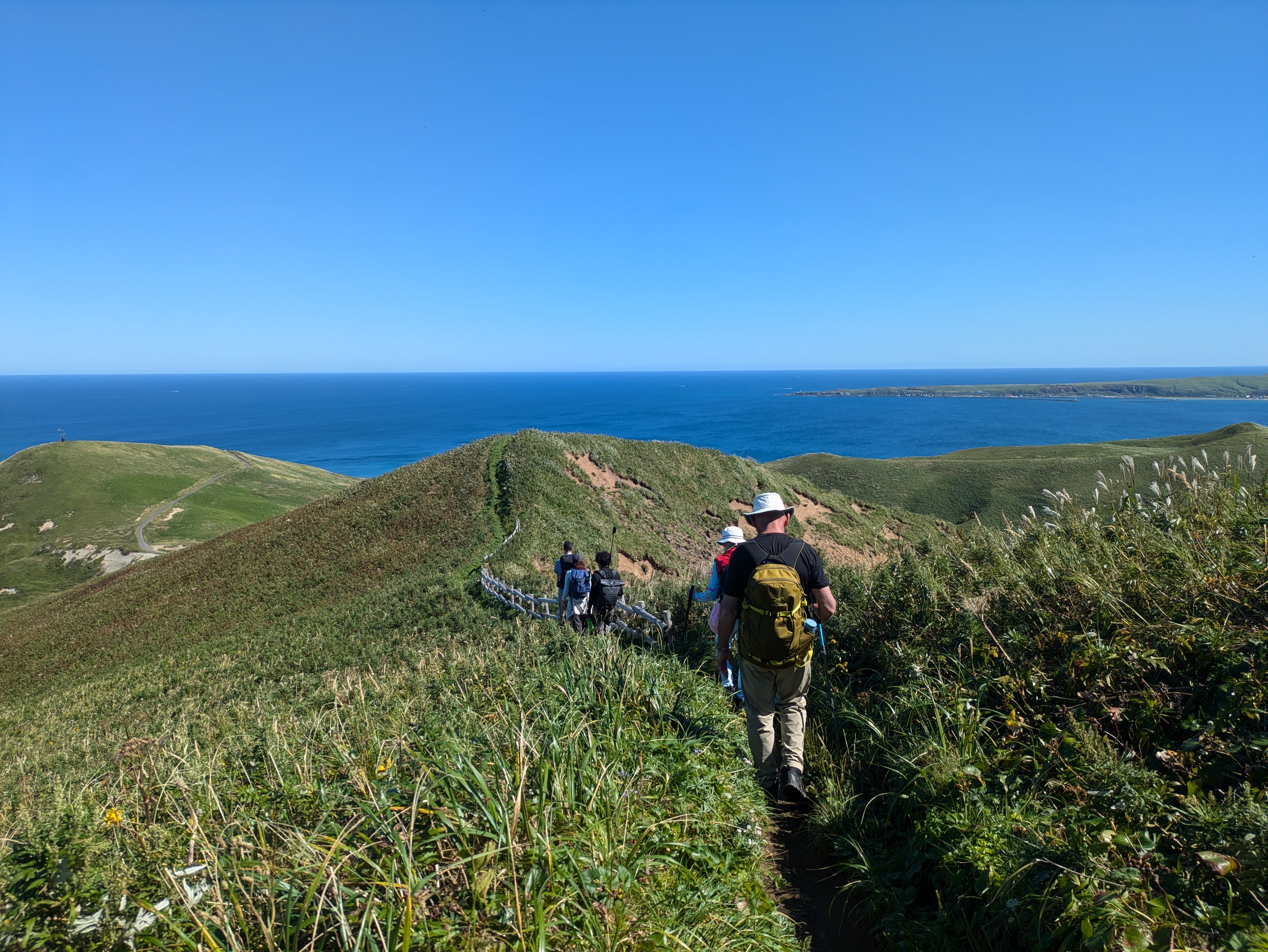 A group of hikers make their way along a path through bush on the Misaki Meguri hike, Rebun Island. It is a beautiful, sunny day and the ocean is visible in the distance.