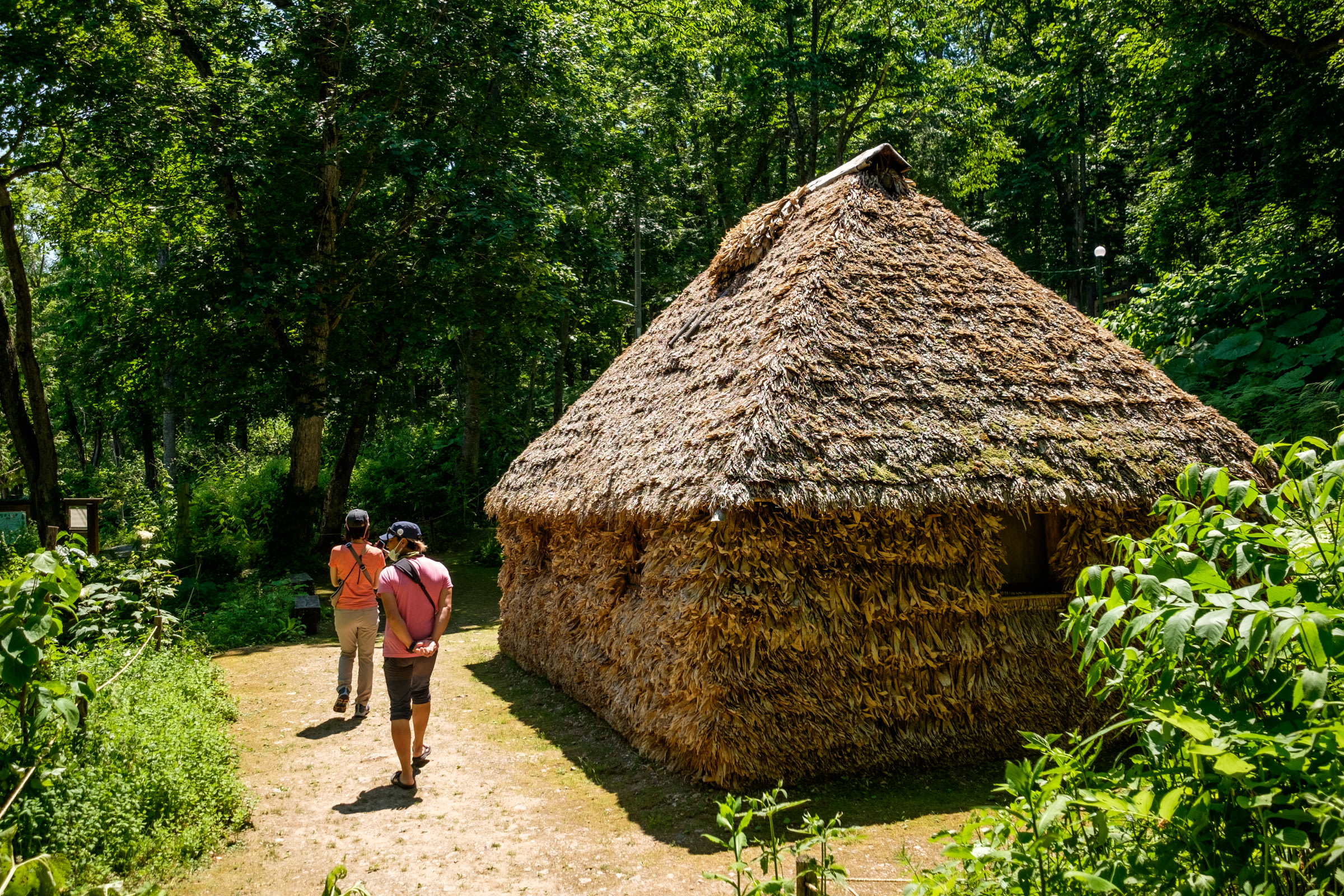 Two people walk past a reconstructed Ainu Cise house in Arashiyama park, Asahikawa. The houses walls and roof are all is made out of thatched bamboo.