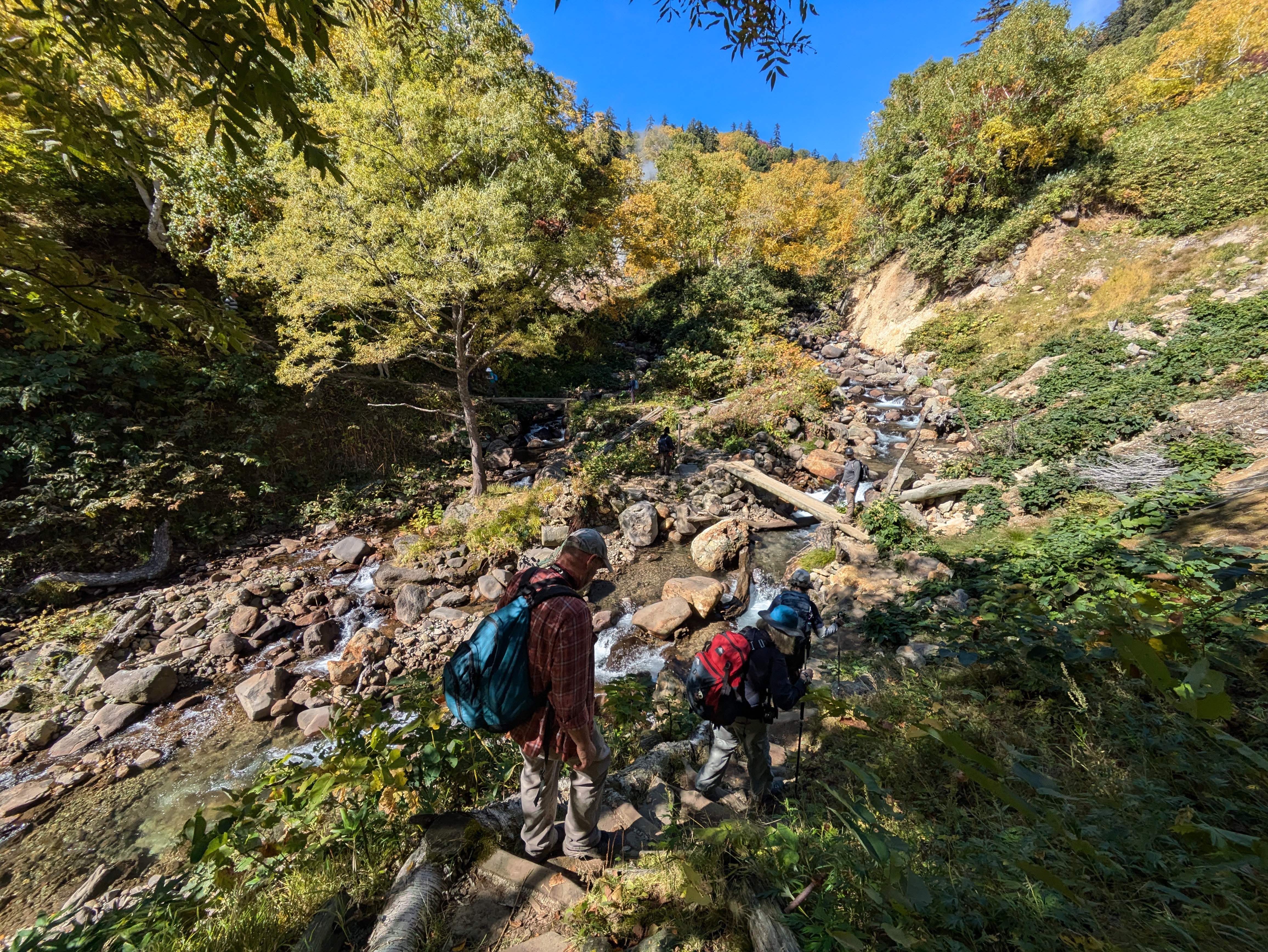 A group of hikers pick their way down the sides of a rocky valley in Daisetsu Kogen, Hokkaido. Below them, a river with rudimentary log bridges spanning its width is visible. The view is framed by trees turning yellow with autumn. It is a beautifully sunny day.