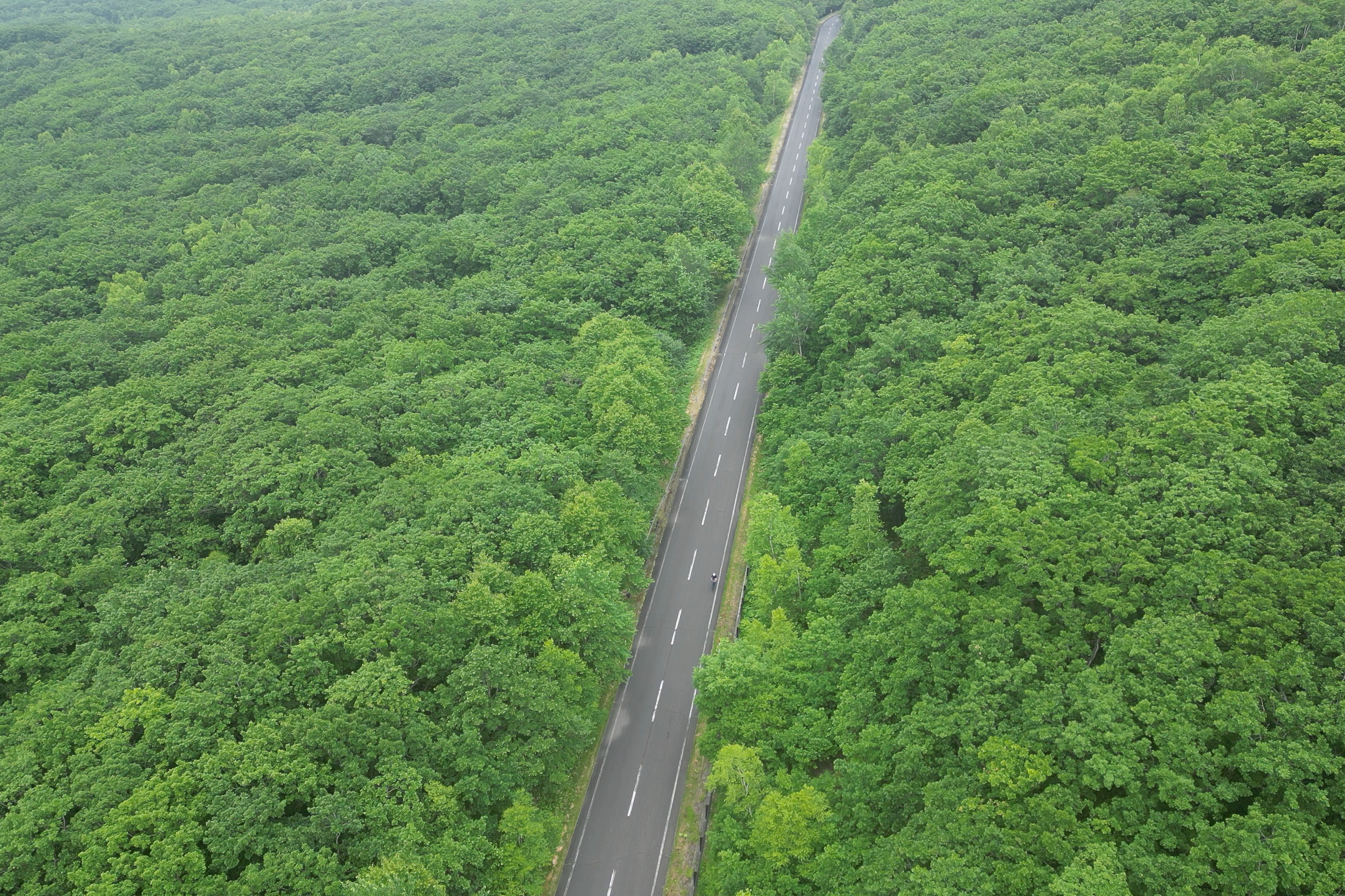 Capturing the Mikuni Pass road from the air.