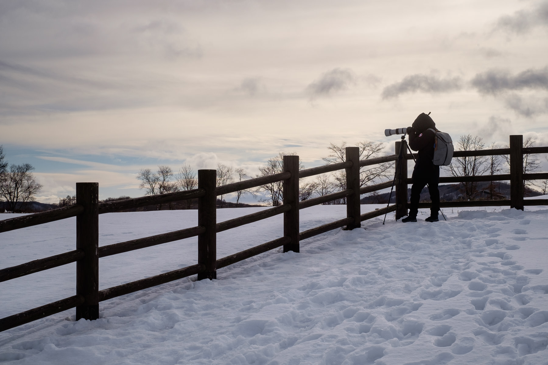 A photographer looks through his camera that is sat on a tripod. He is standing in a snow covered field.