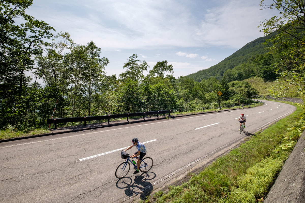 Cyclists climb up a mountain road lined with birch trees