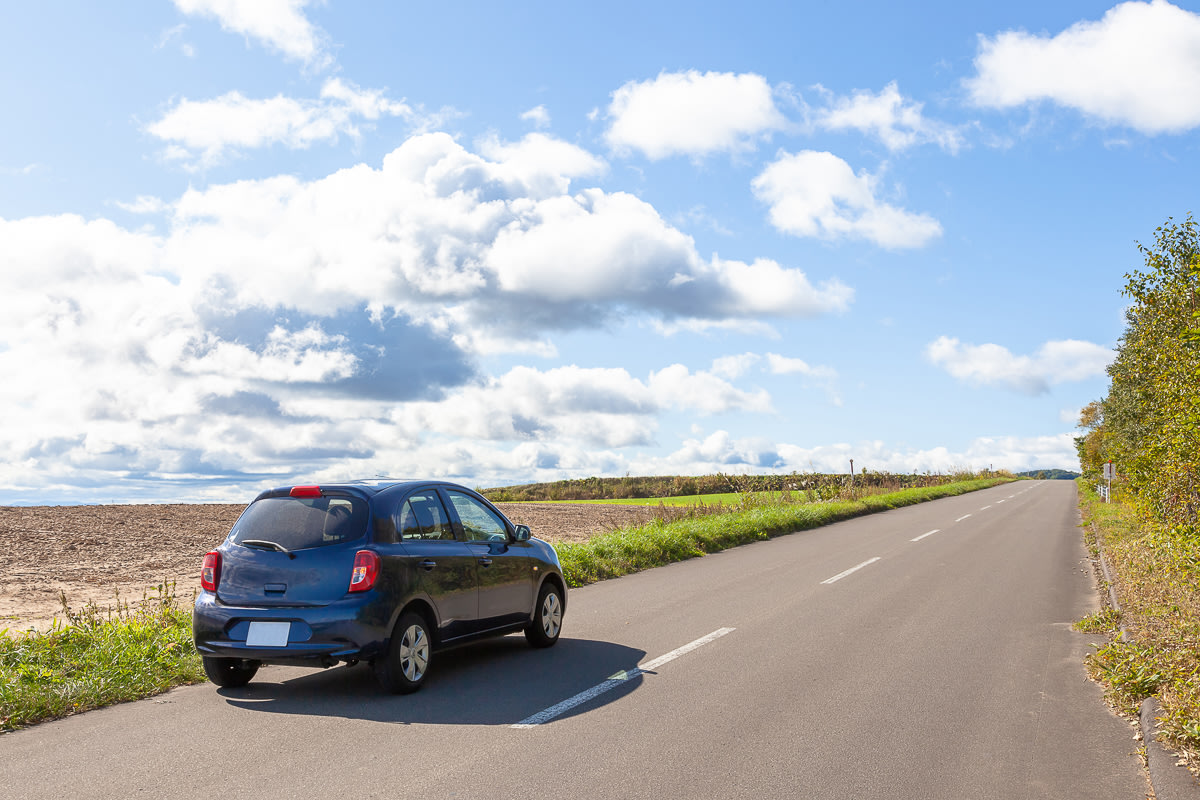 Best way to travel around Hokkaido? Rental car driving through the ricefields