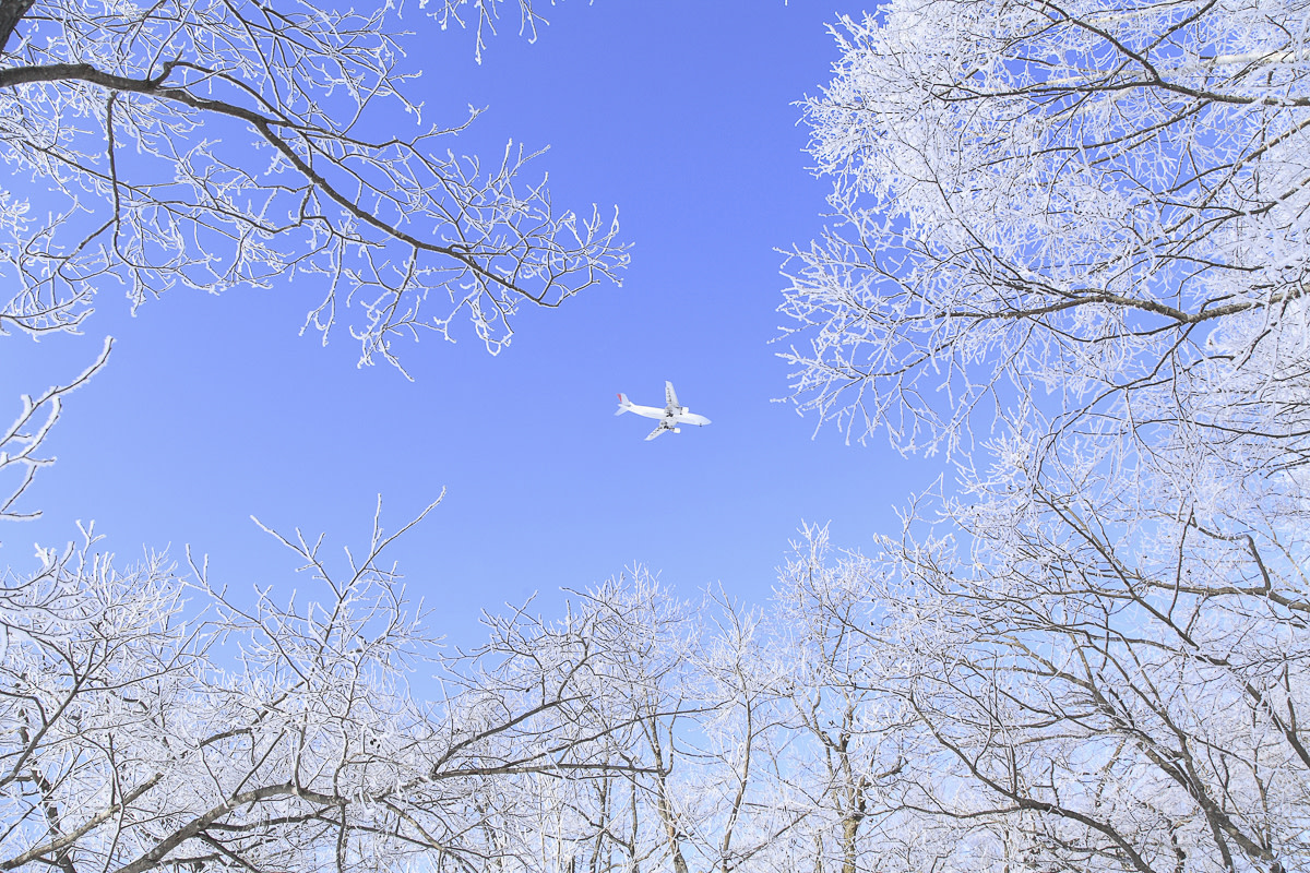 An airplane flies above frost-laden trees.