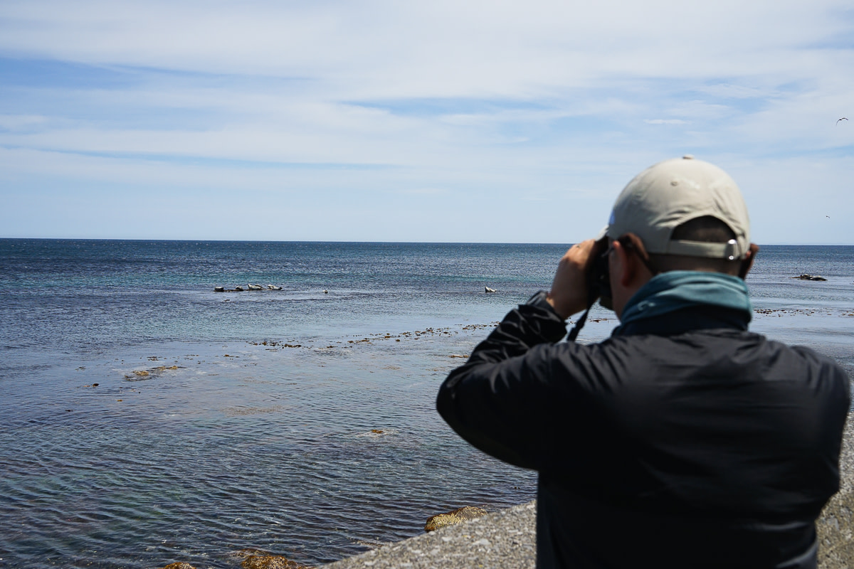 A man uses binoculars to look at a group of seals on Rebun island