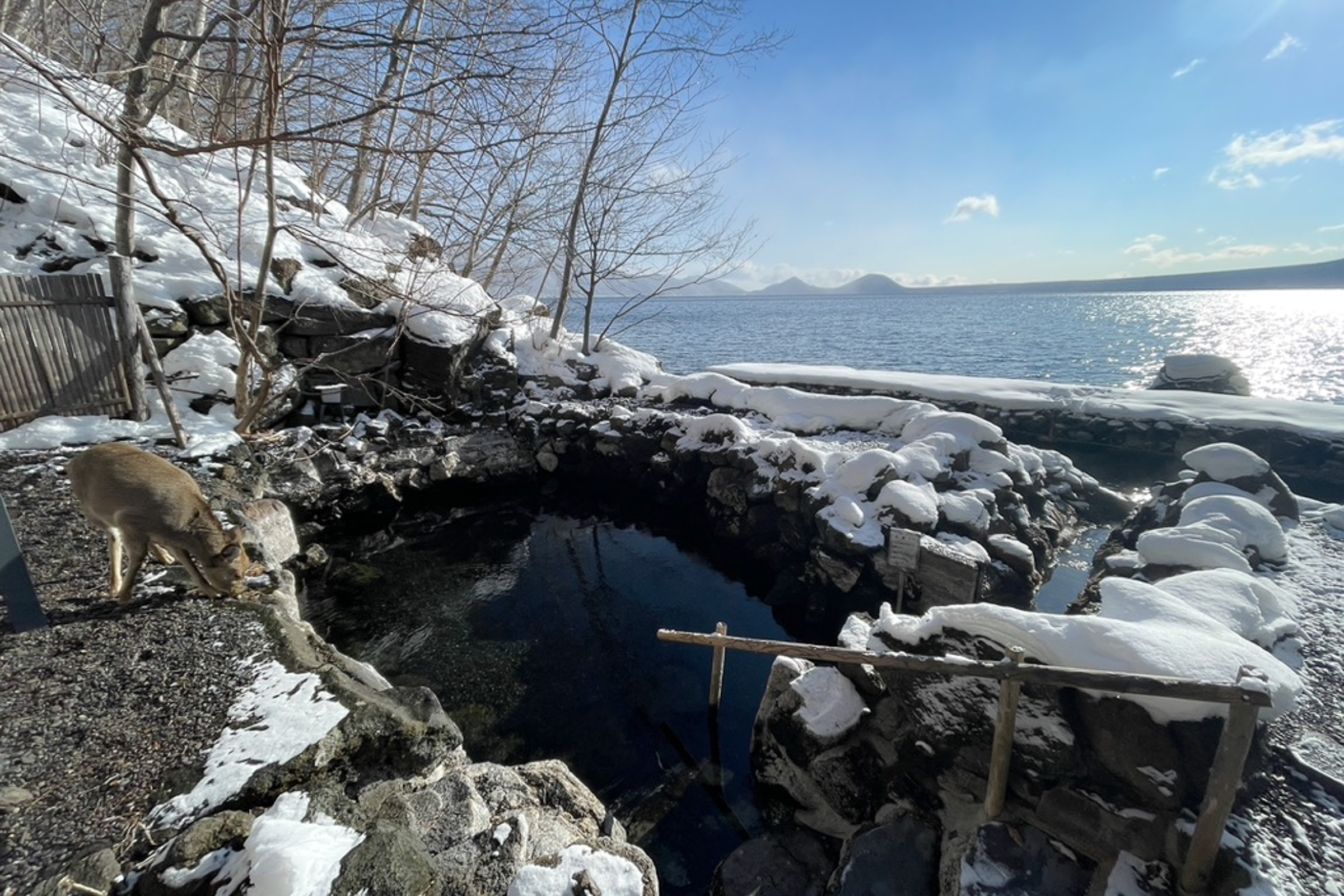 A deer by an outdoor natural hot spring bath on the shore of Lake Shikotsu in winter.