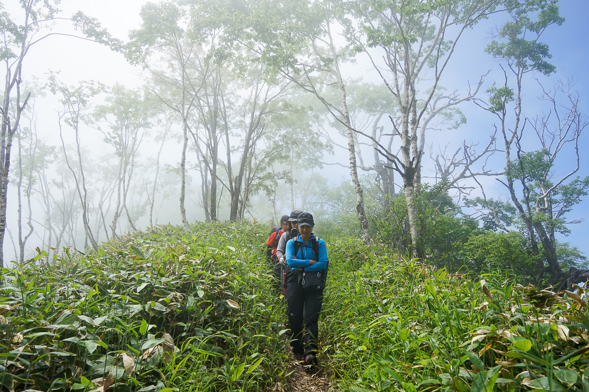 Hiking to Mt Hakuunzan in gentle mist