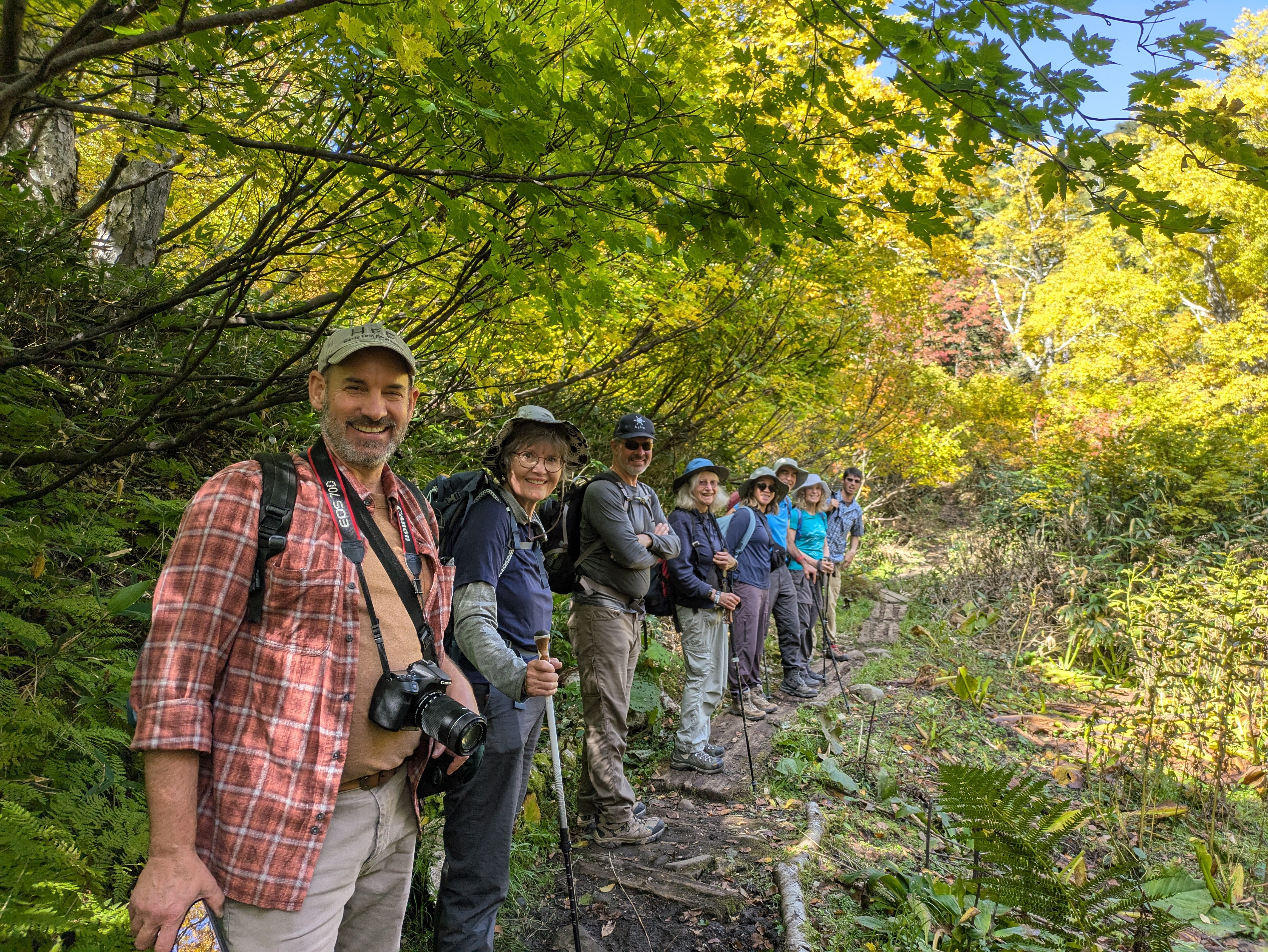 A group of hikers turn and smile at the camera along the Daisetsu Kogen trail in Hokkaido. It is a very sunny day and the leaves all around them are turning yellow with autumn. The sunlight filters pleasantly through the leaves.