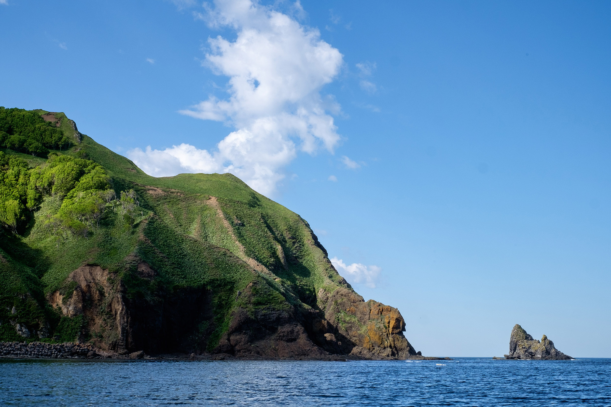 Green cliffs rise dramatically out of the sea on the Shiretoko peninsula. The water is relatively calm and white clouds float in the sky above a high hill. A jagged rock sits off the coast.