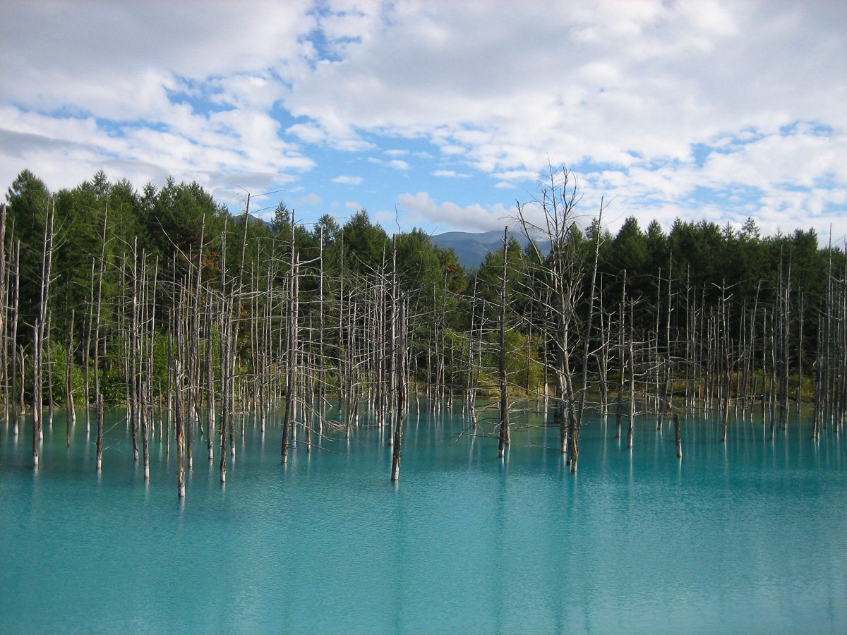 Biei Blue Pond